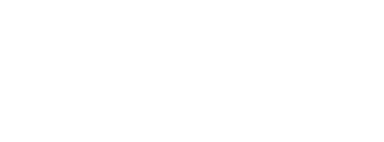 Brand Vision Group