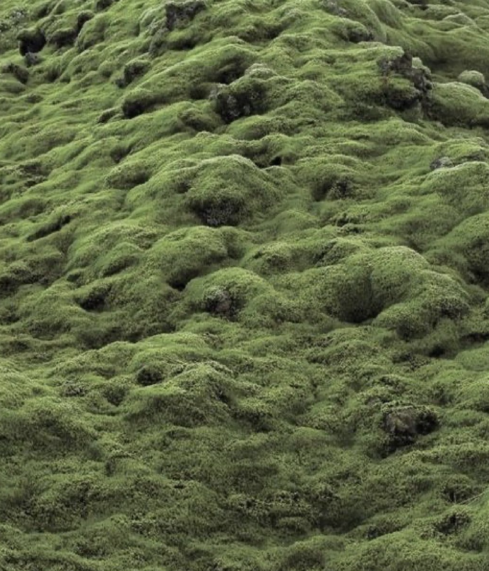 螢幕截圖 2022-12-09 下午5.32.51.png