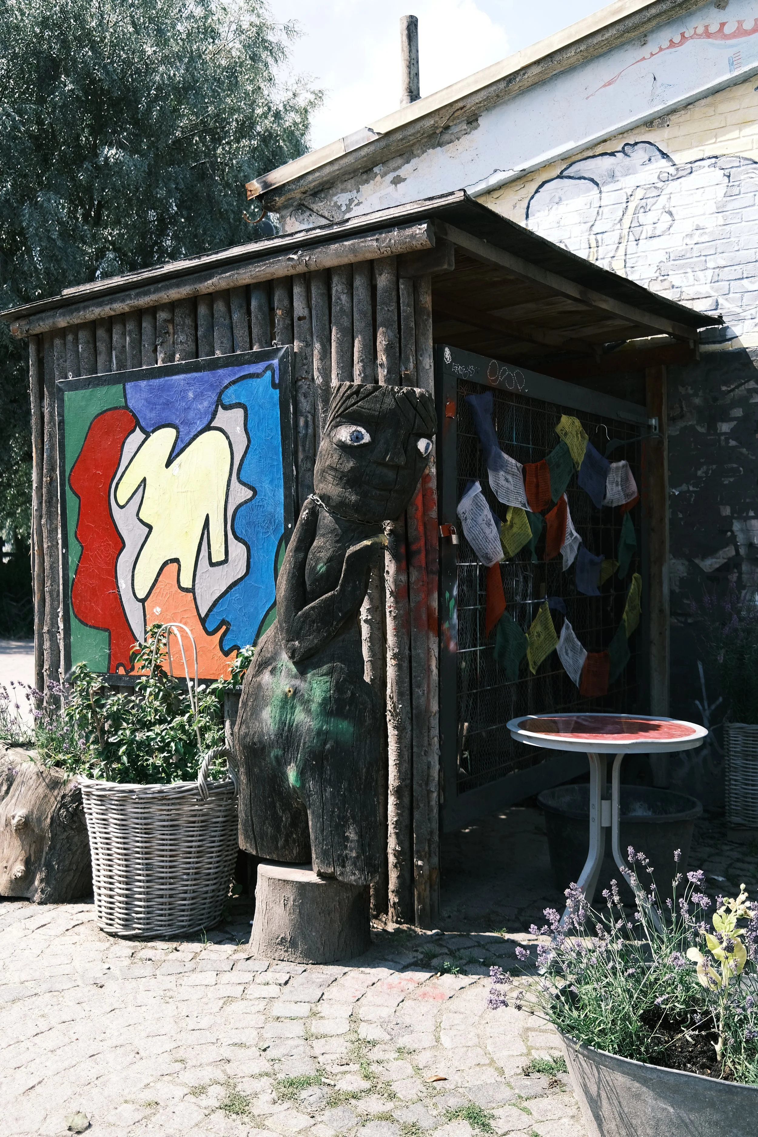 DSCF6698.JPG