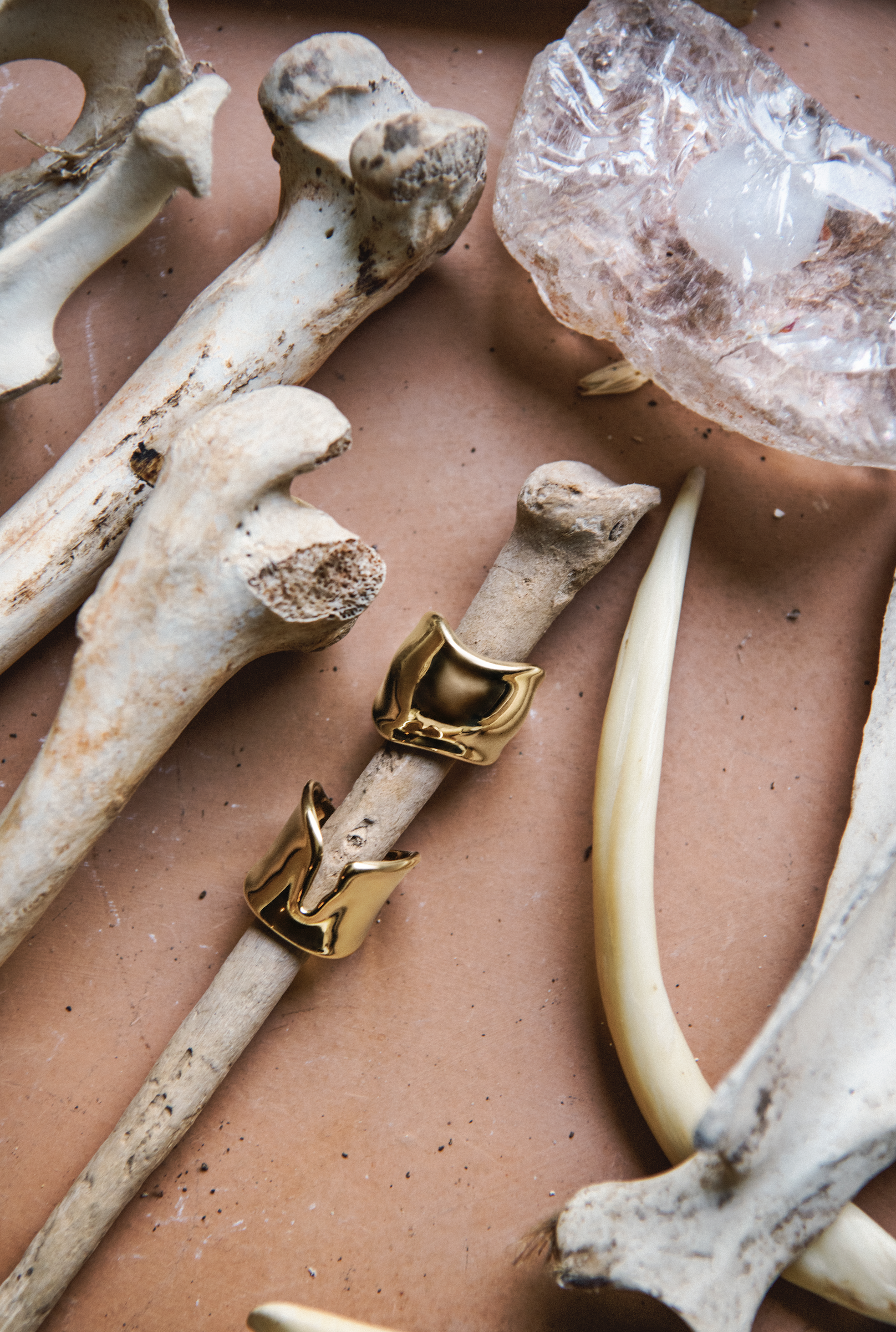 螢幕截圖 2025-12-05 下午4.41.28.png