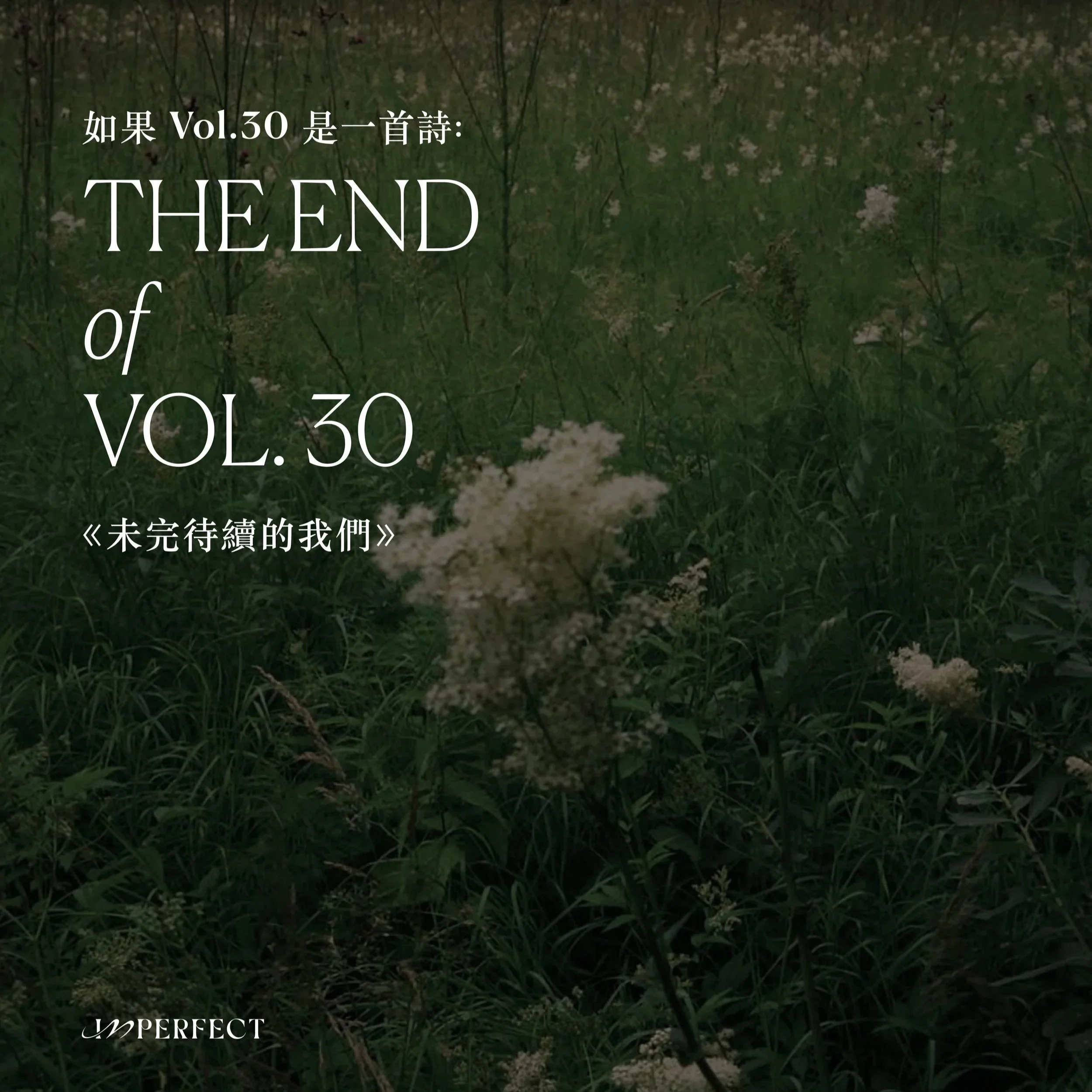 如果 Vol.30 是一首詩：未完待續的我們