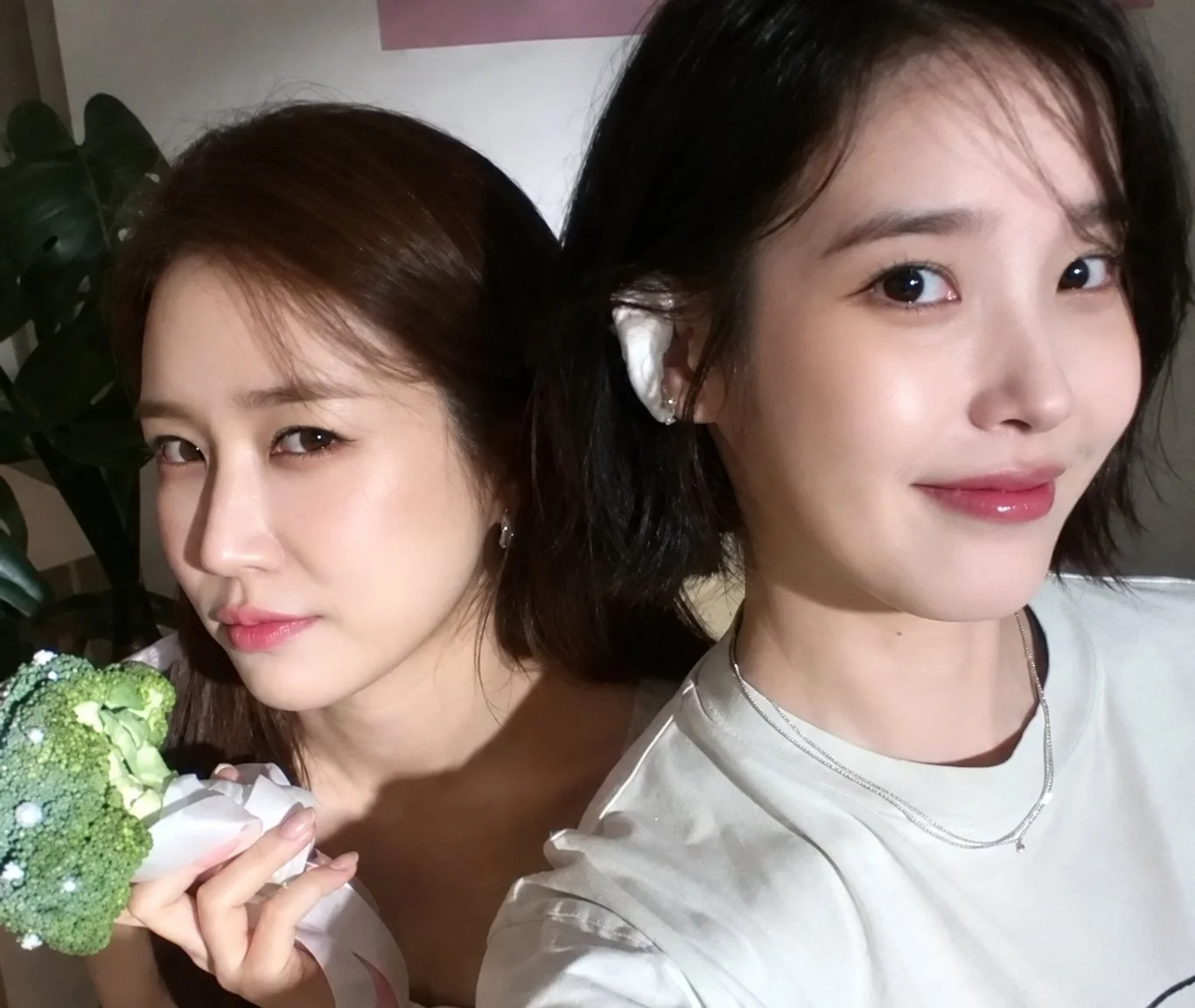明明我不是劉寅娜，但聽到這首歌會哭的人是我 ── IU〈Dear my crazy soulmate〉