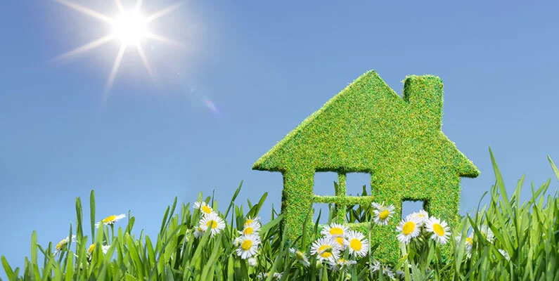 Healthy Home Tips and Tricks