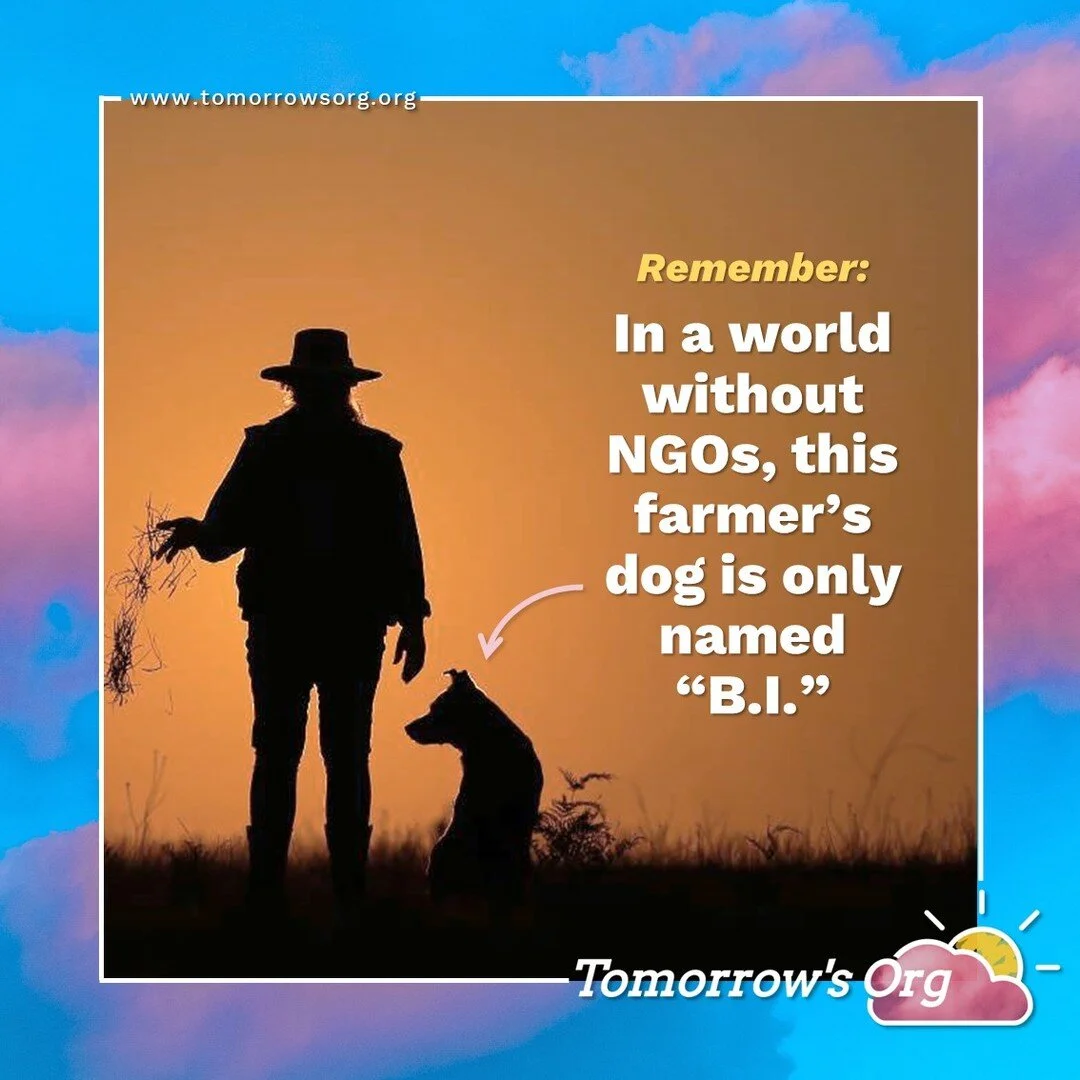 A funny one to celebrate #WorldNGODay this week, with an always timely reminder about IMPACT.

I had a great discussion with a soon-to-be-founder of a new charitable trust last week. Almost all of their questions for me came back to a pair of questio