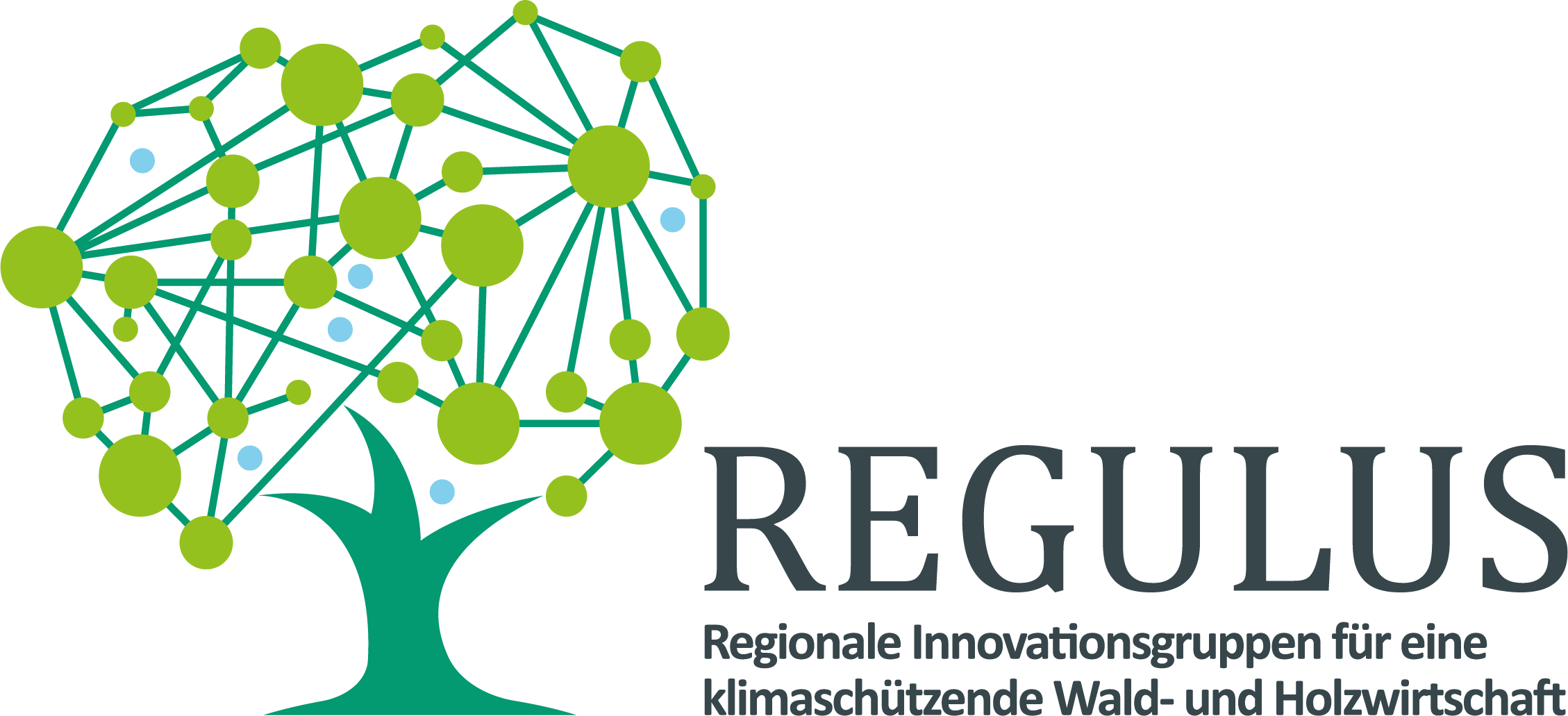 logo_REGULUS_subline_2024.png