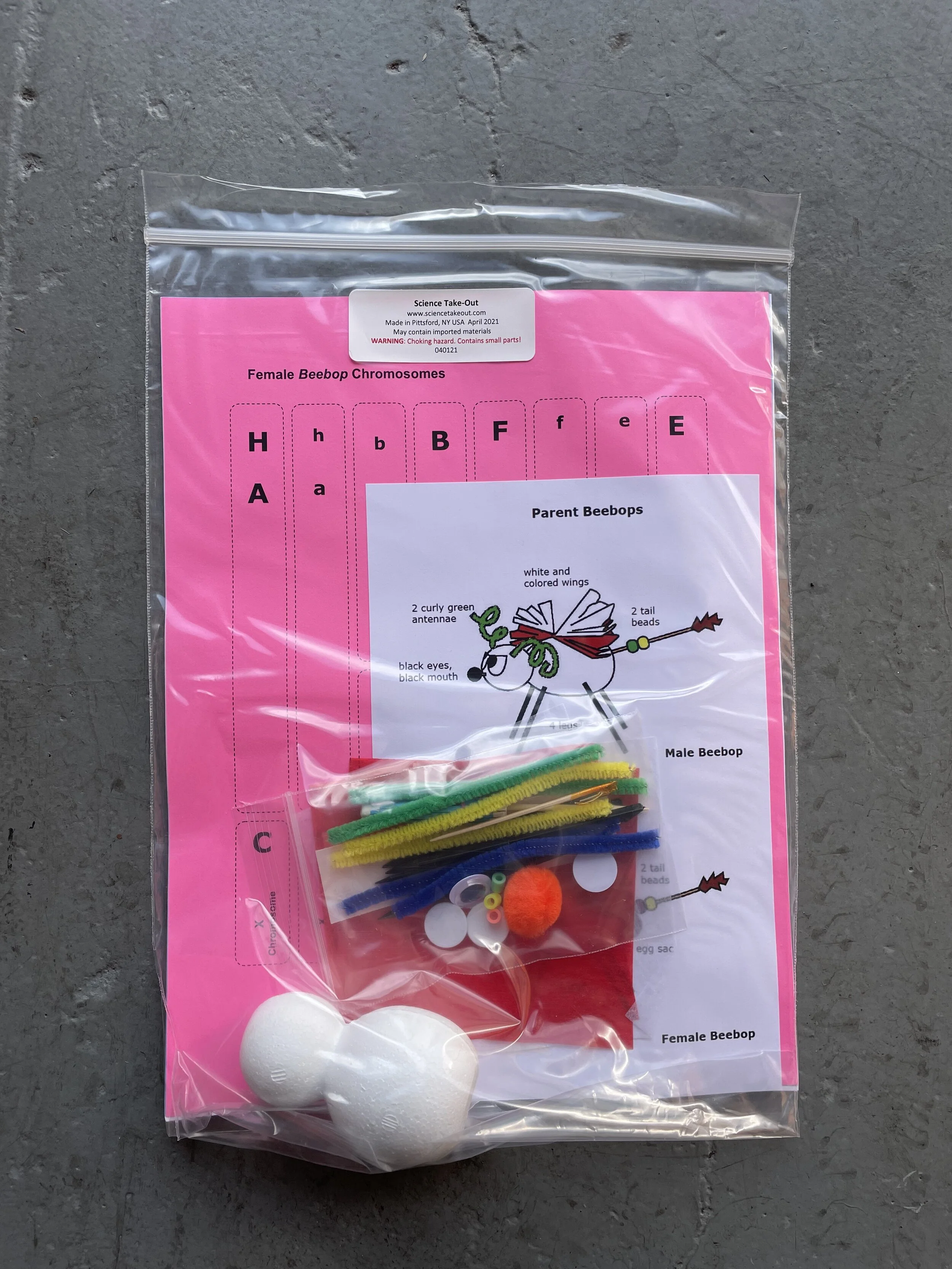 Beebops: Genetics &amp; Evolution Kit