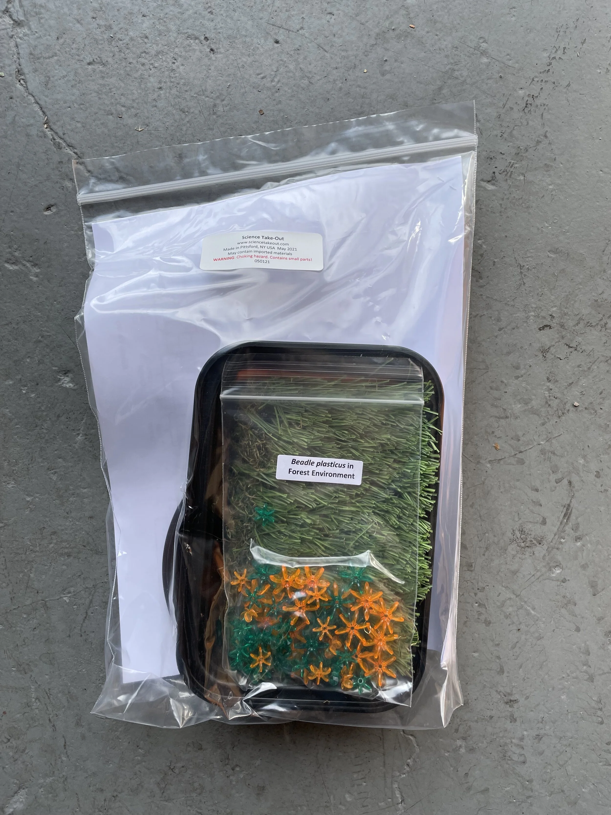 Beadle Plasticus Kit