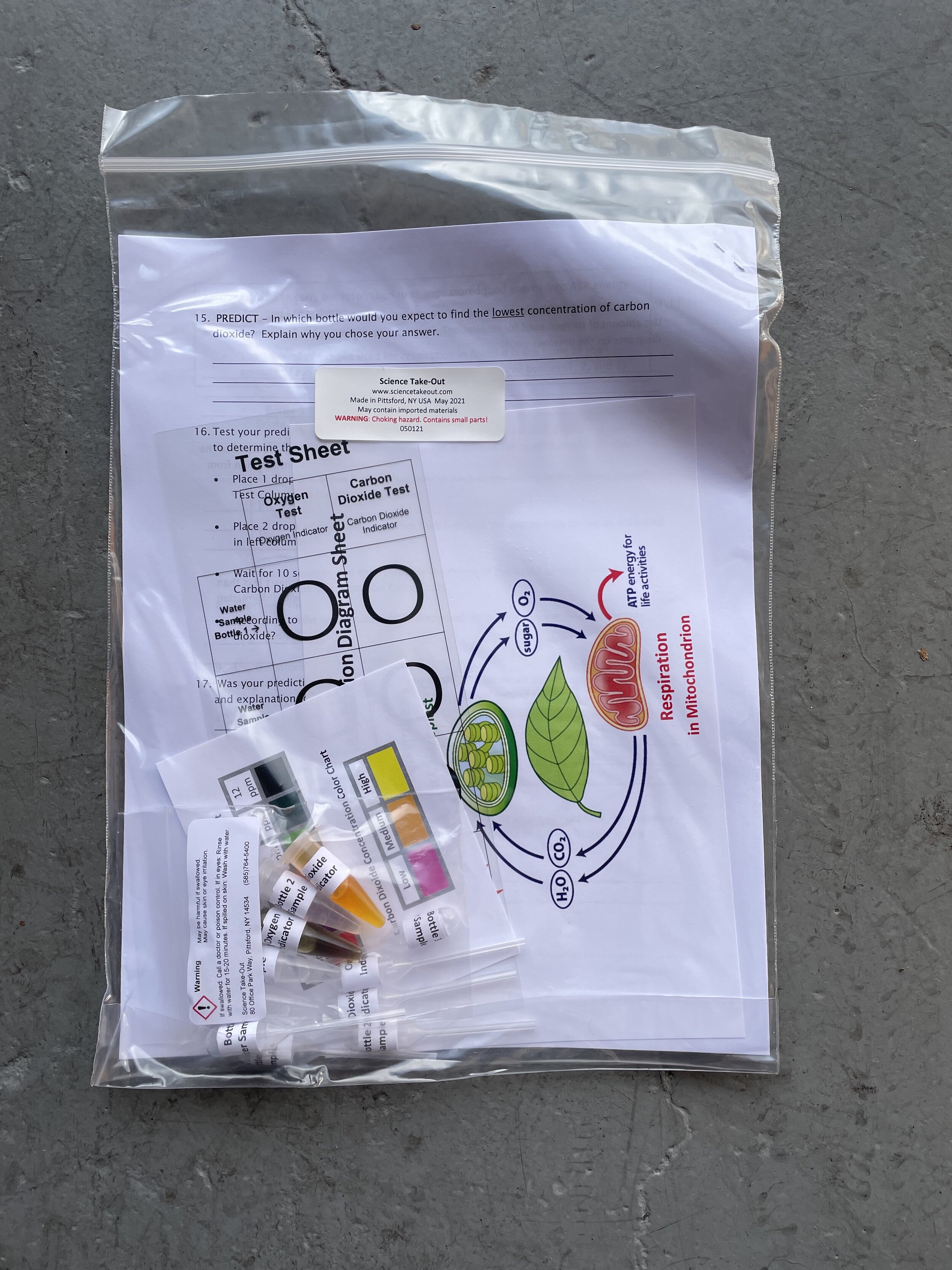 Plants in a Bottle Kit