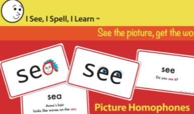 Homophone Flash Card Sets