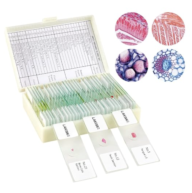 Prepared Microscope Slides