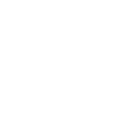 intel-white-250s.png