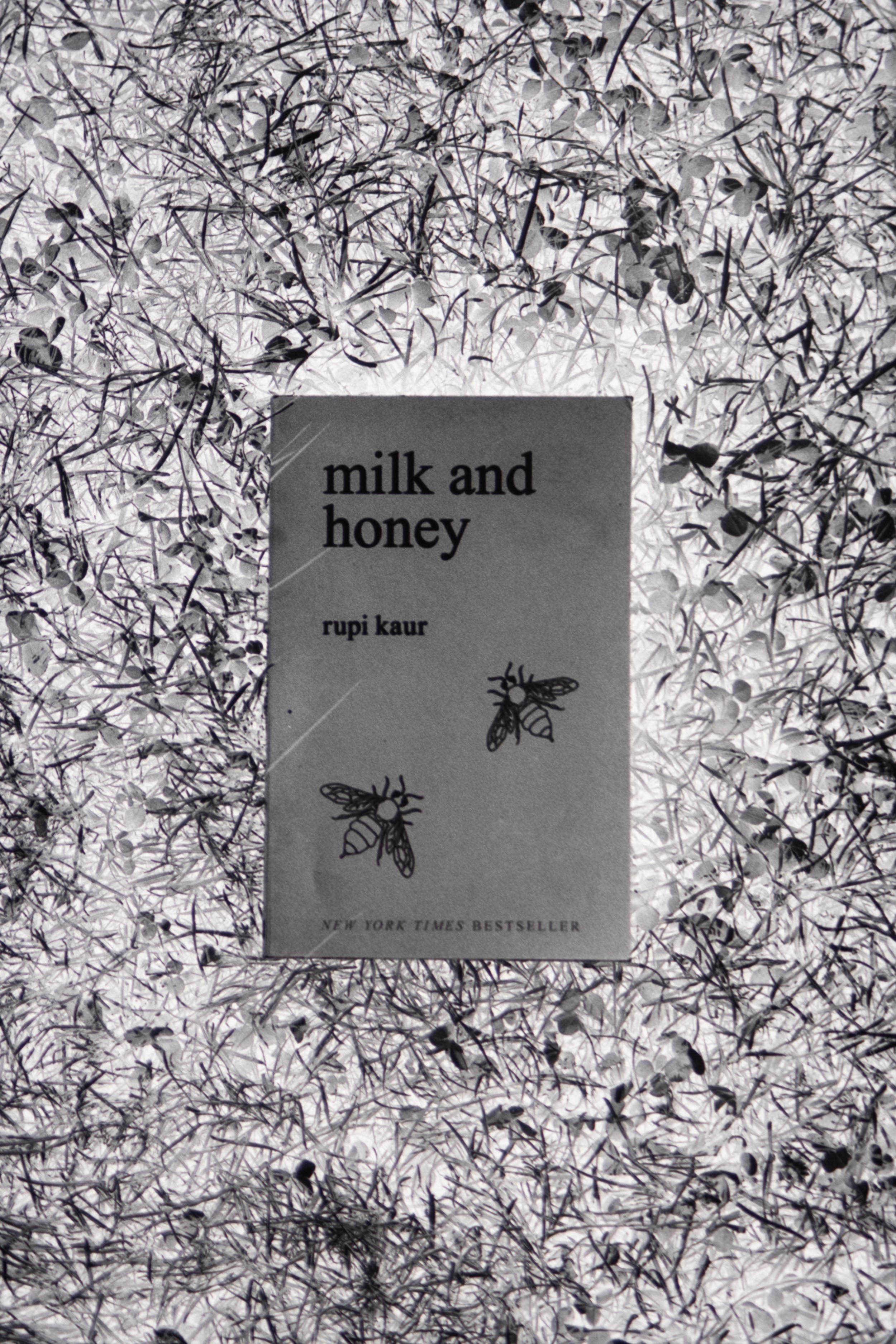 Milk & Honey.JPG