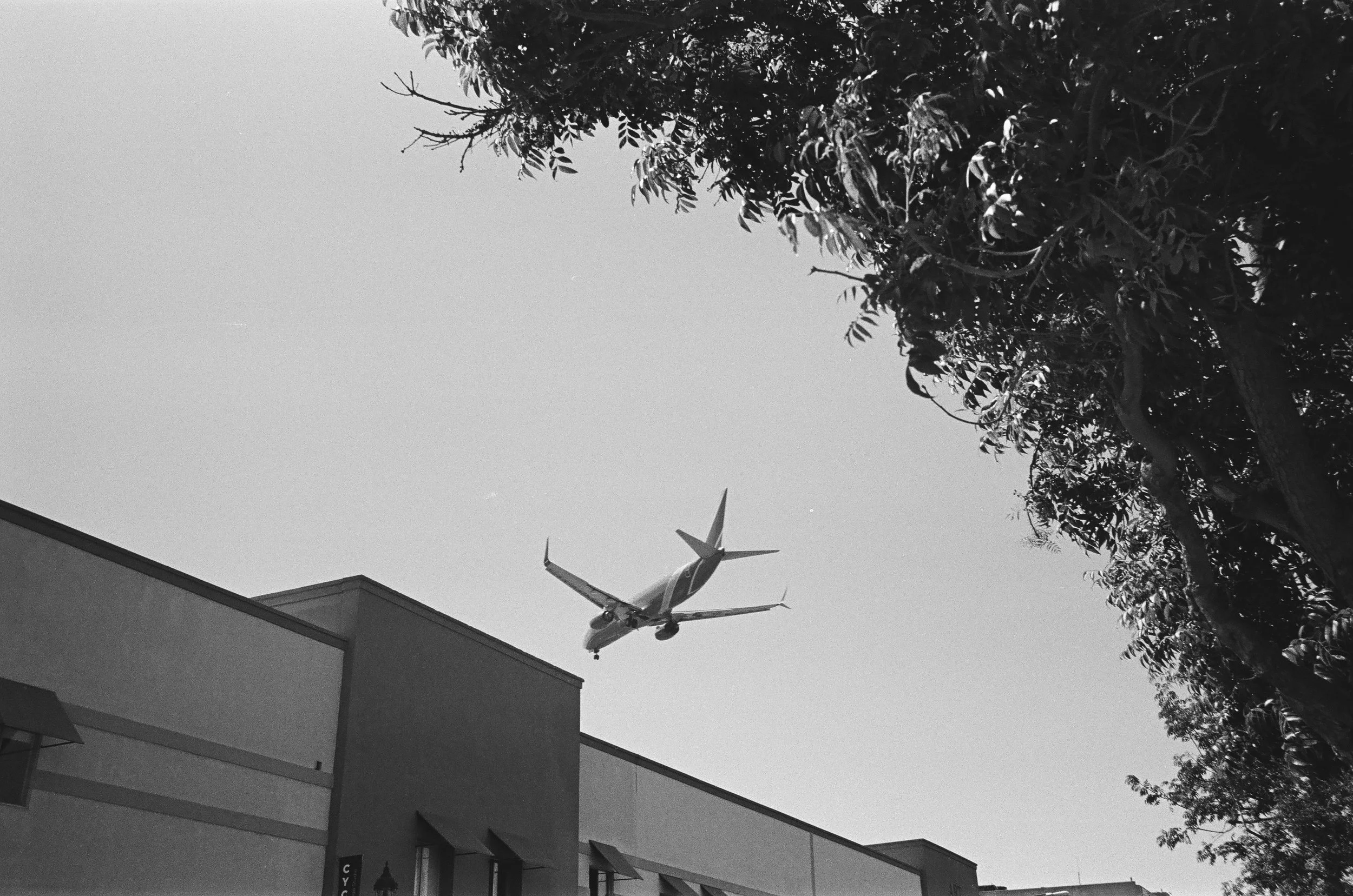 13145 Morrison Street 111.jpg