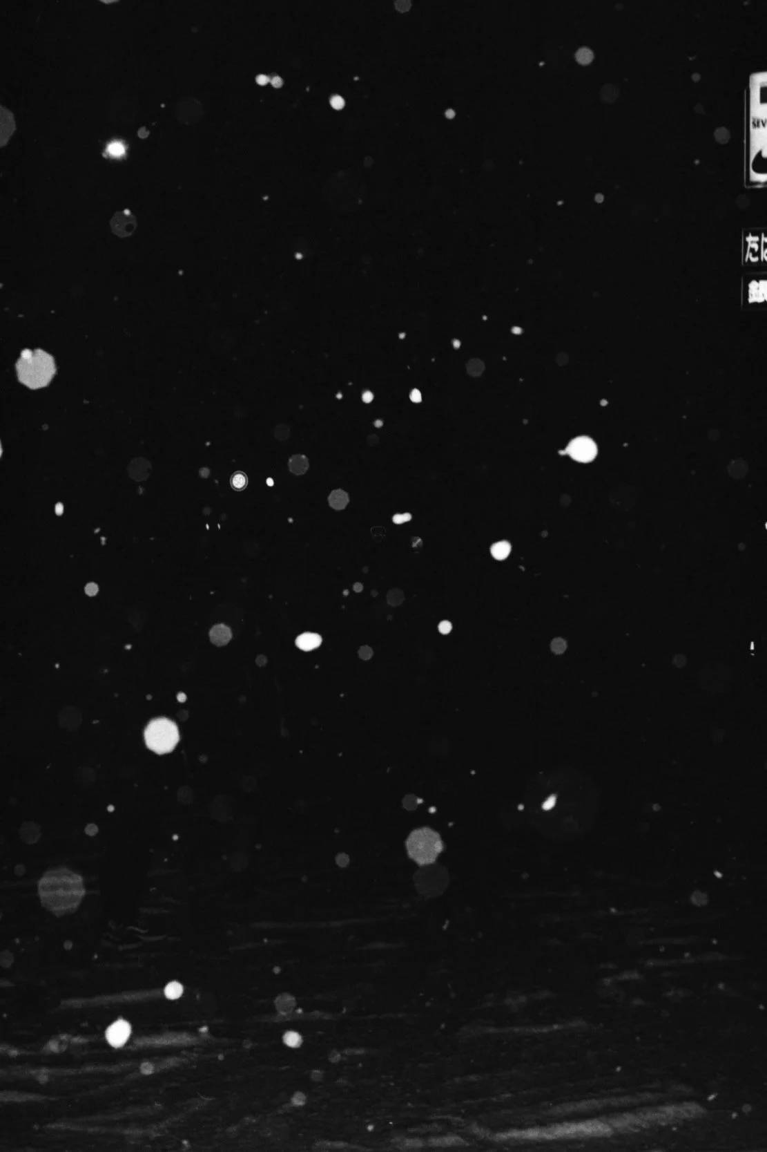 Japan Jazz20260225_0262.jpeg