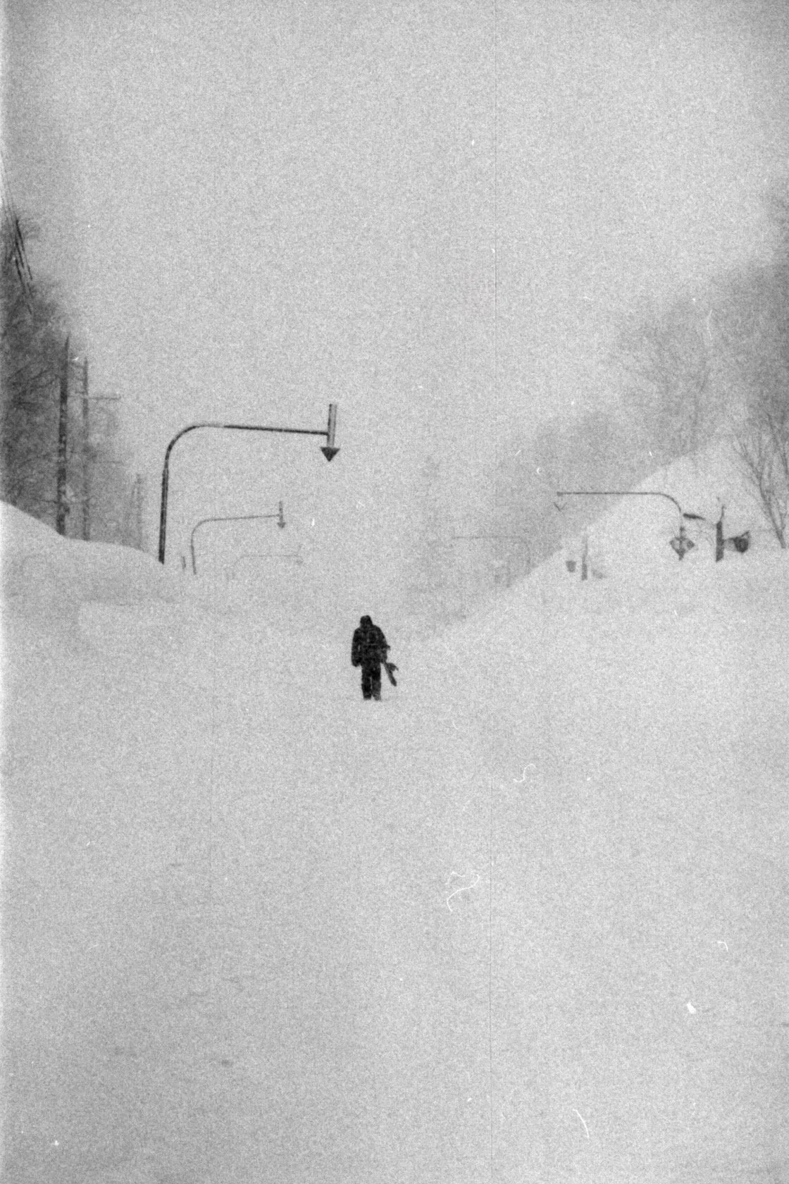 Japan Jazz20260225_0276.jpeg