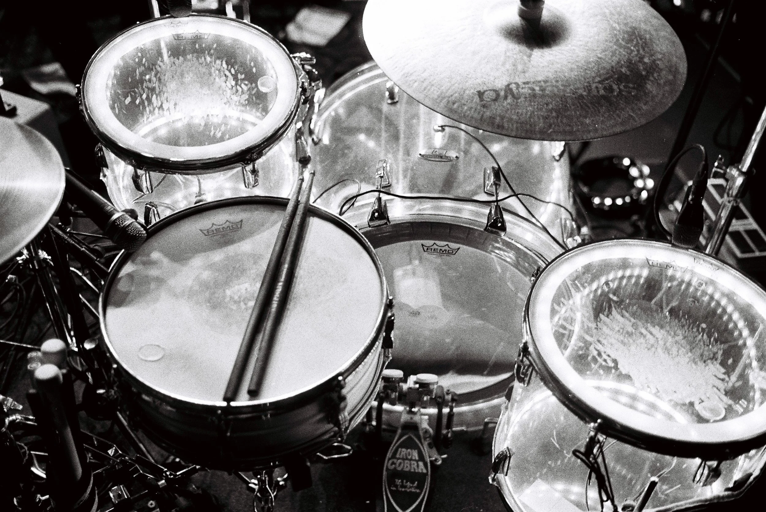 Cove Diamond Last Concert August 20257.jpeg