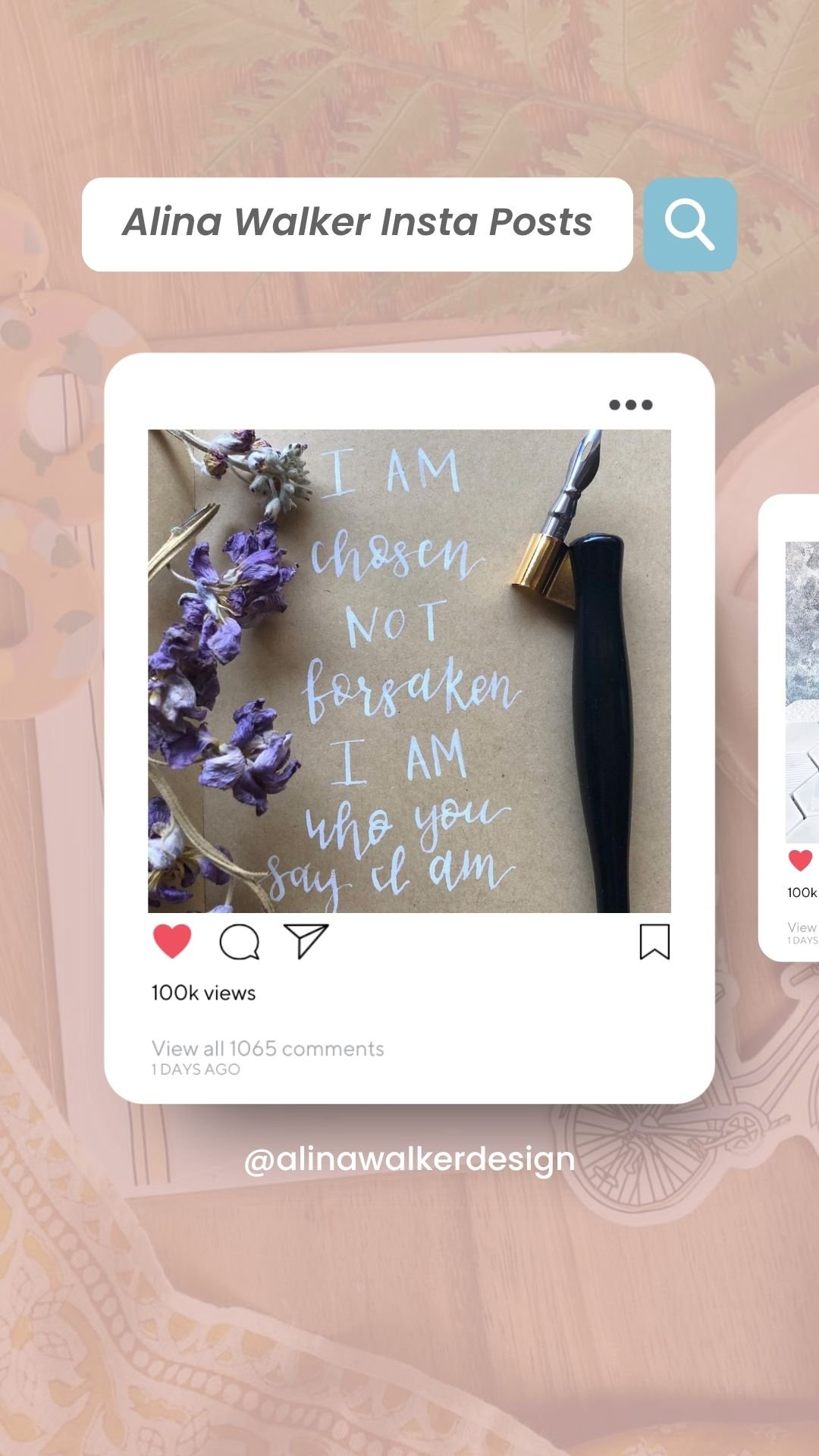 Alina Insta posts.jpg