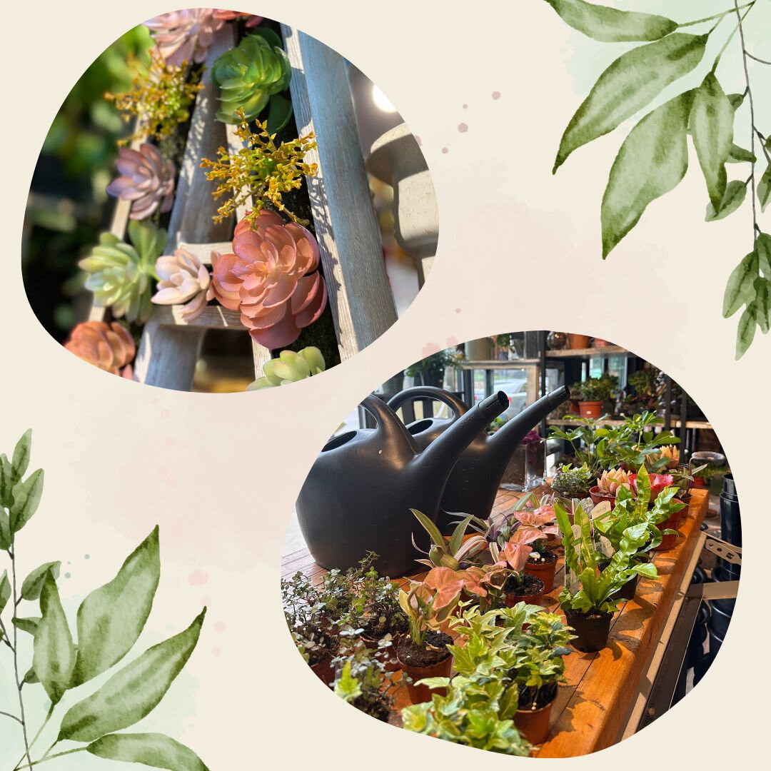 #SucculantSaturday Who's the plant lady in your life? 🌿 We have a feeling she would enjoy this! Reconnect with nature and build your own Terrarium to take home or gift with our Terrarium Workshop! choose your own jar or vase and fill it with plants 