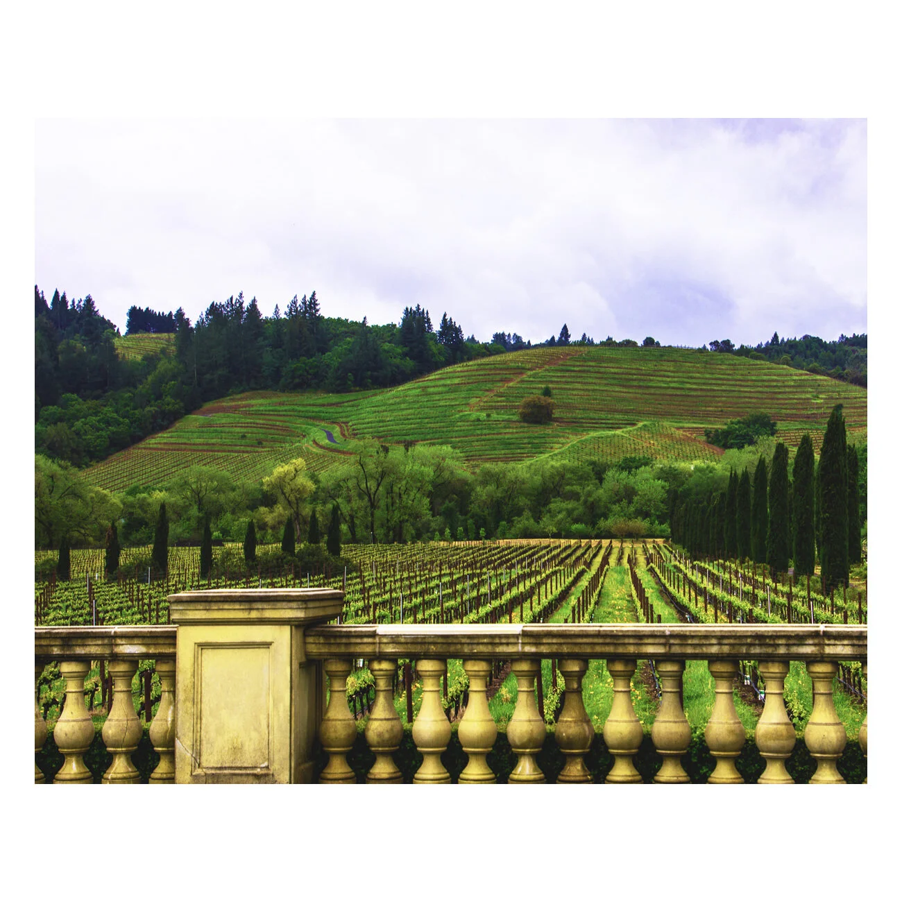 Tuscan Terrace