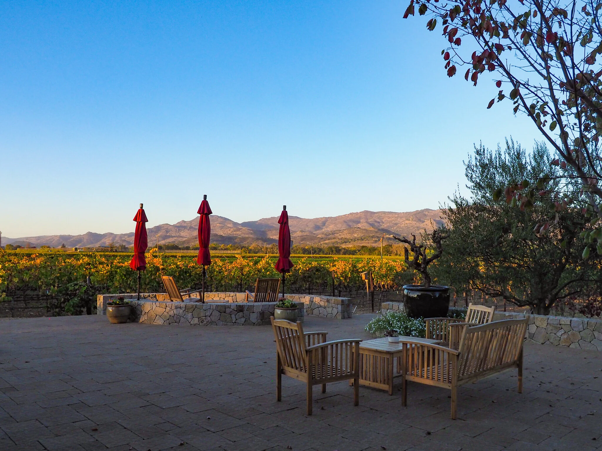 Robert Biale Vineyards
