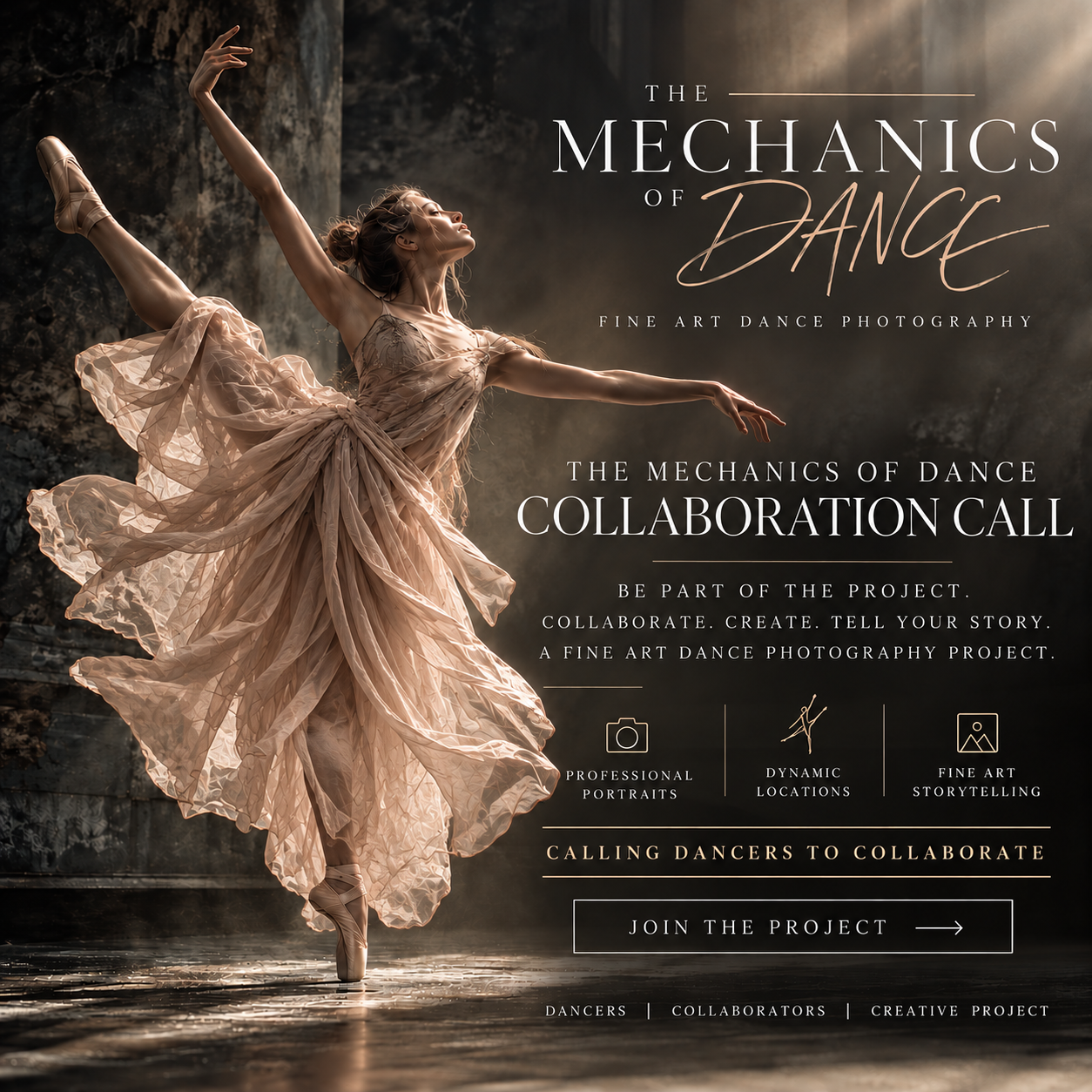 A ballet dancer in a flowing dress performing on stage with a rocky background, advertising a dance photography collaboration project.