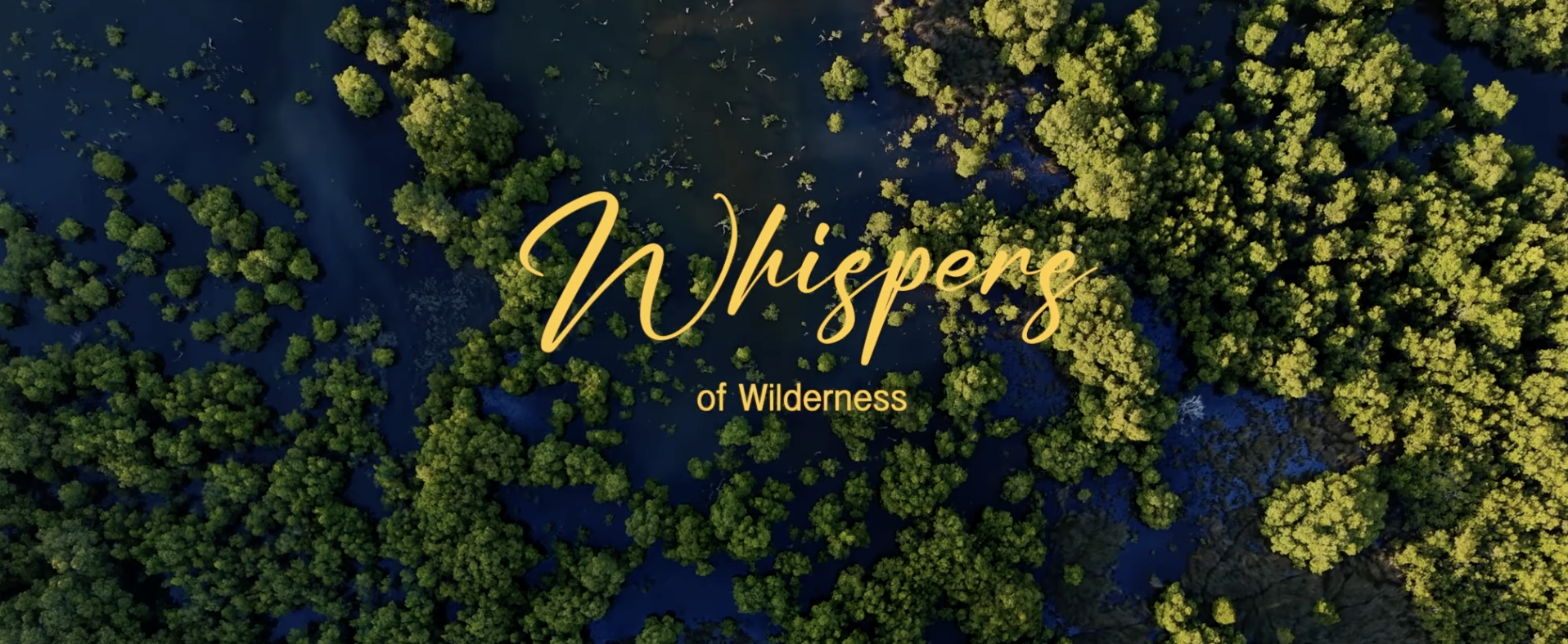 Screenshot 2026-01-14 at 11.17.30 am.png