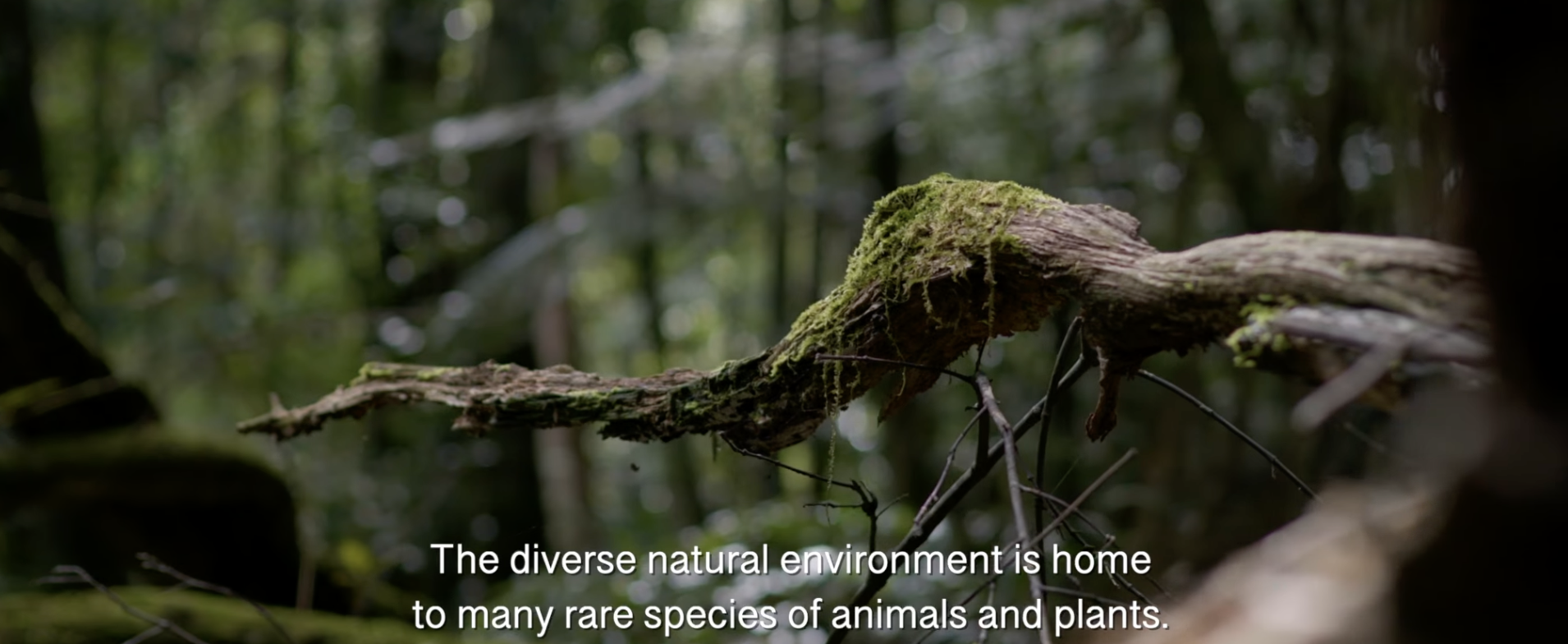 Screenshot 2026-01-14 at 11.17.44 am.png