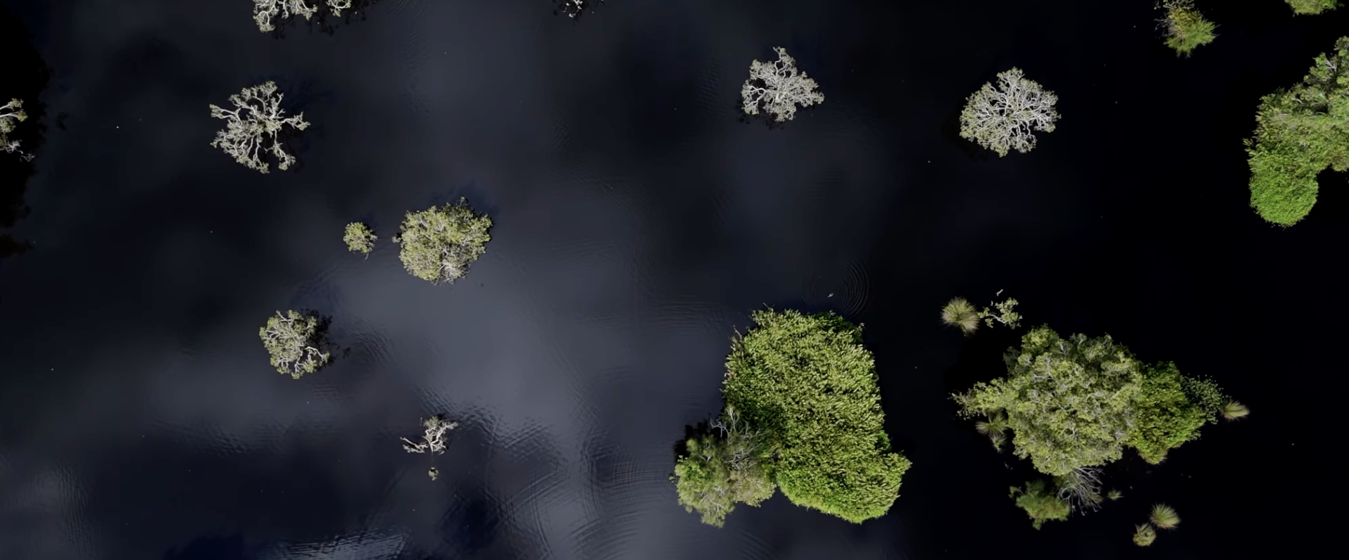 Screenshot 2026-01-14 at 11.16.51 am.png