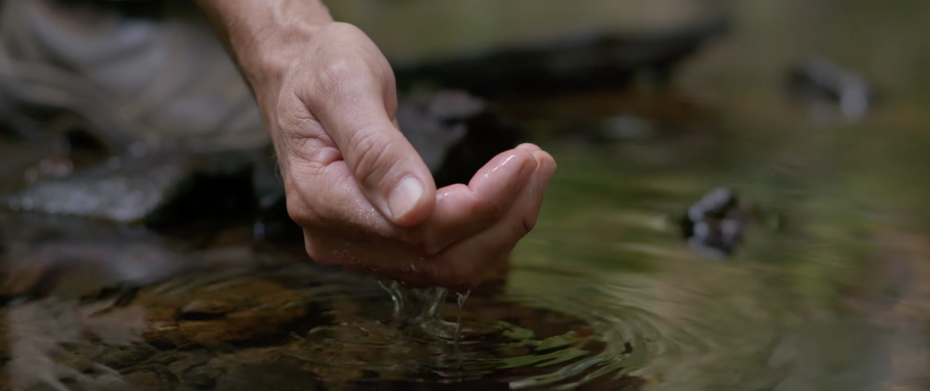 Screenshot 2026-01-14 at 11.17.20 am.png