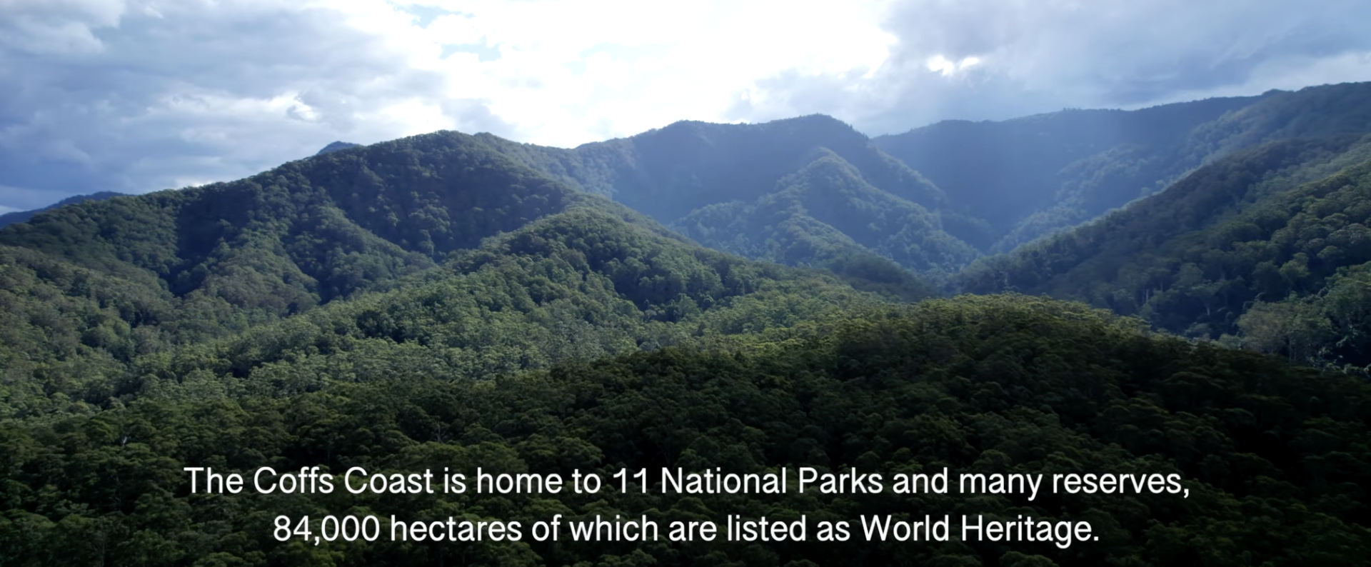 Screenshot 2026-01-14 at 11.17.37 am.png