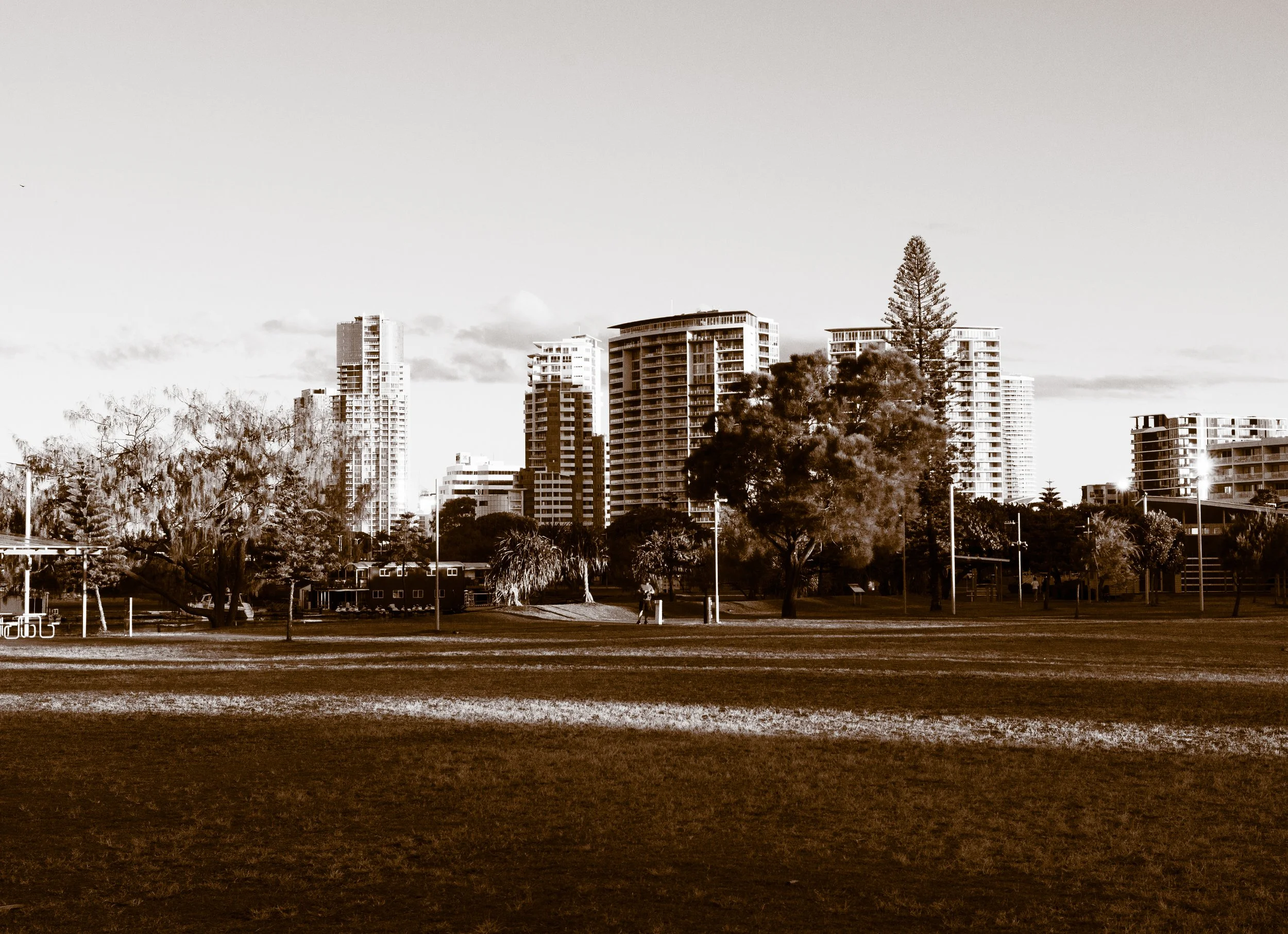 _DSC0551.jpg