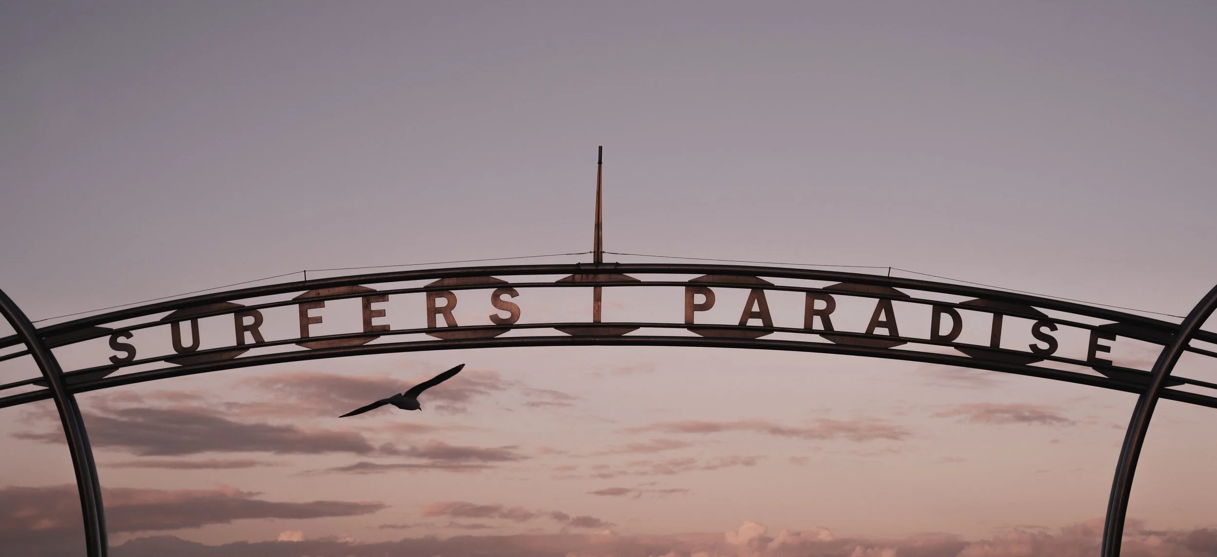 DSC01366-Edit copy.jpg