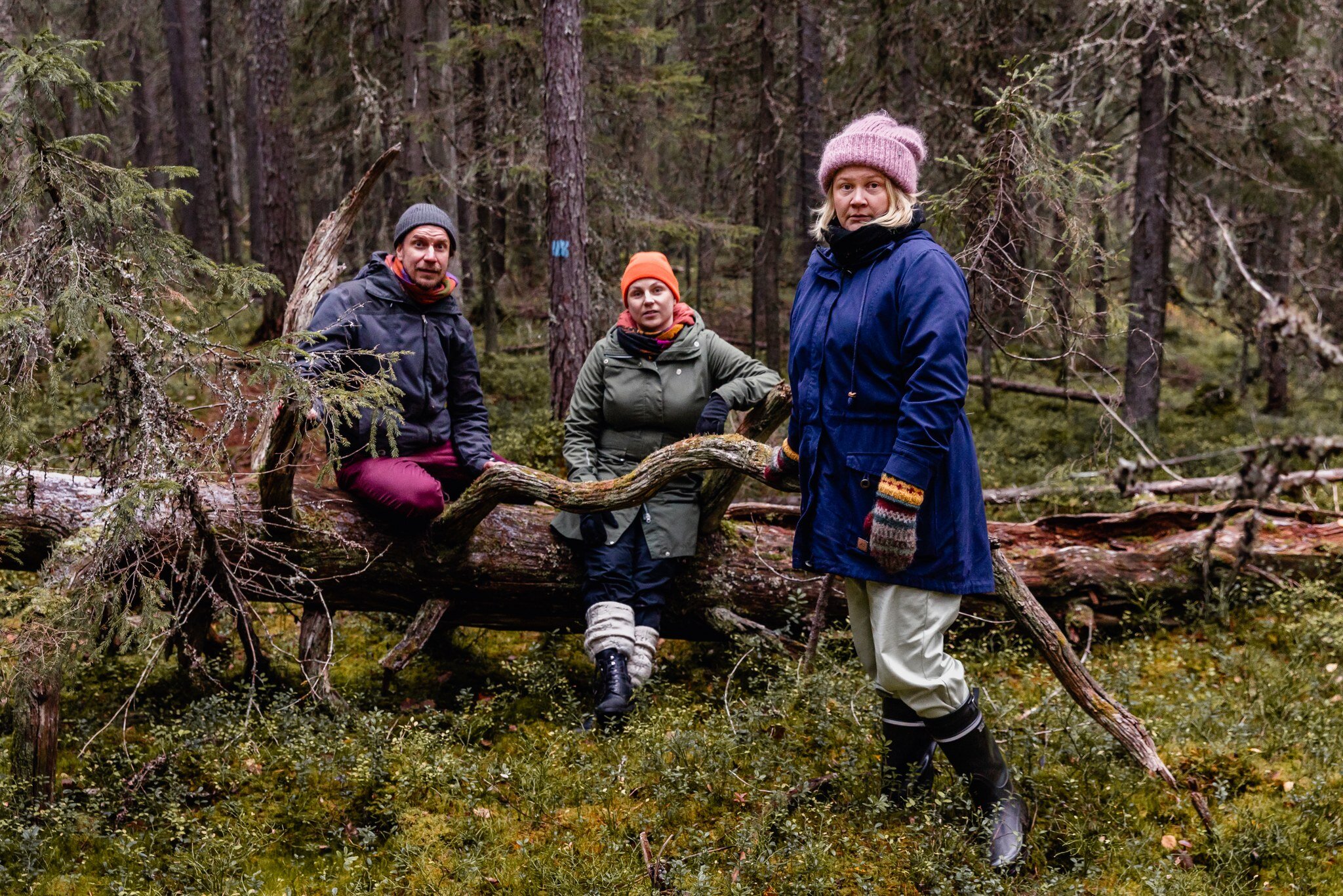 Vaara-kollektiivin 10-vuotisjuhlan&auml;ytelm&auml;n, Kainuun mets&auml;kiistojen, liput ovat nyt myynniss&auml;! Nappaa omasi ja tule ihmettelem&auml;&auml;n mit&auml; tapahtuukaan yhteisiss&auml; metsiss&auml;mme.

Vaaran seuraava ensi-ilta on Kain