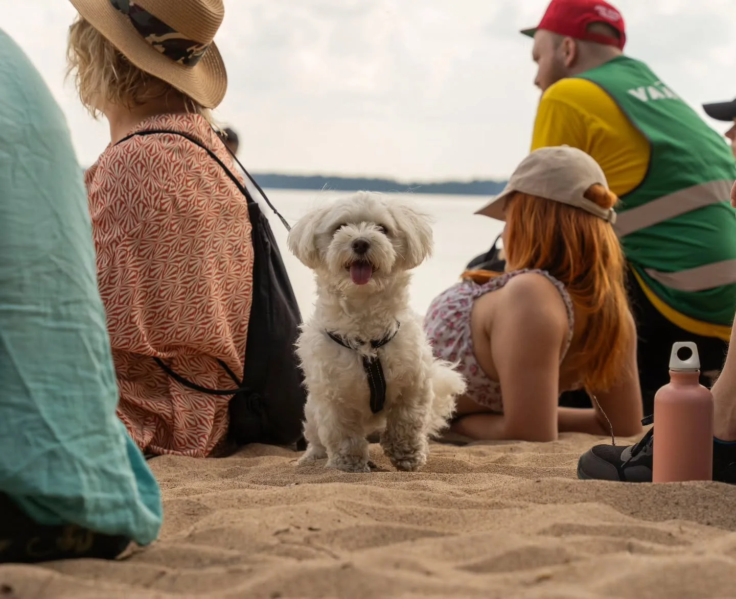 Vuoden kes&auml; l&auml;hestyy ☀️☀️☀️

T&auml;st&auml; kes&auml;n Vaara-t&auml;rpit taskuun:

💃 Nuori Teatteri -koulutustapahtuma Kainuun Opistolla 31.5.-6.6.
⛵ Ouluj&auml;rven H&ouml;yrylaivateatteri seilaa 24-28.6. ja 25.7.
🎊 Taidekampuksen kes&a