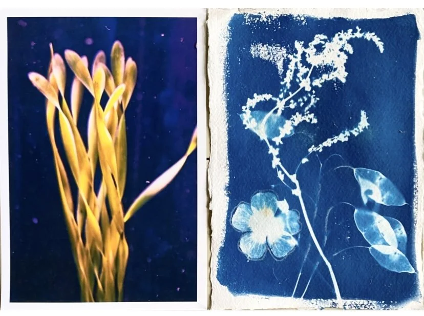 Foto van een groep geel-oranje touwen op een donkere achtergrond naast een blauw en witte artistieke afbeelding van bladeren en bloemen. Twee kunstwerken van Anna de Leeuw