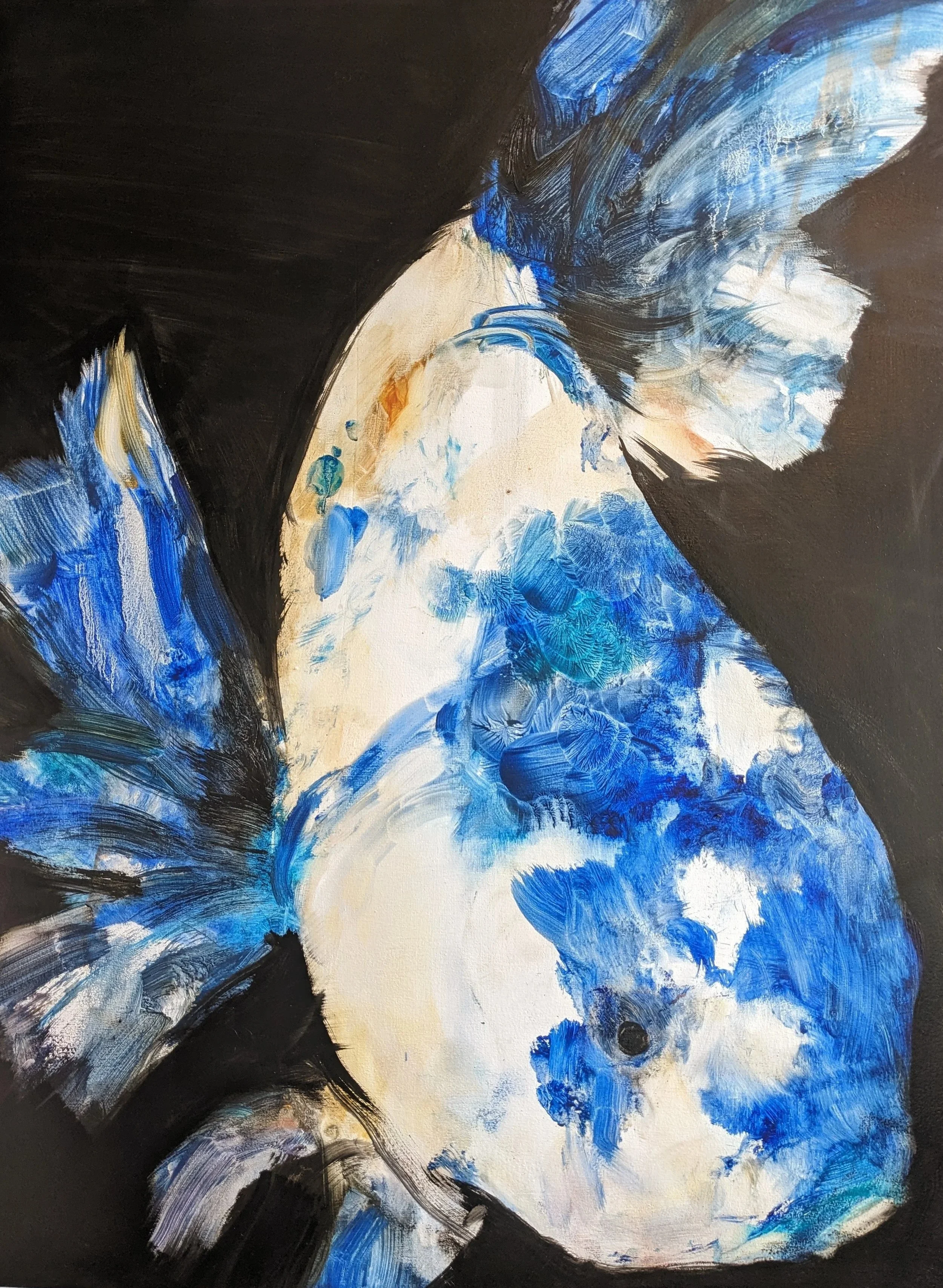 Blue Koi. oil On Board. 50cm x 70cm