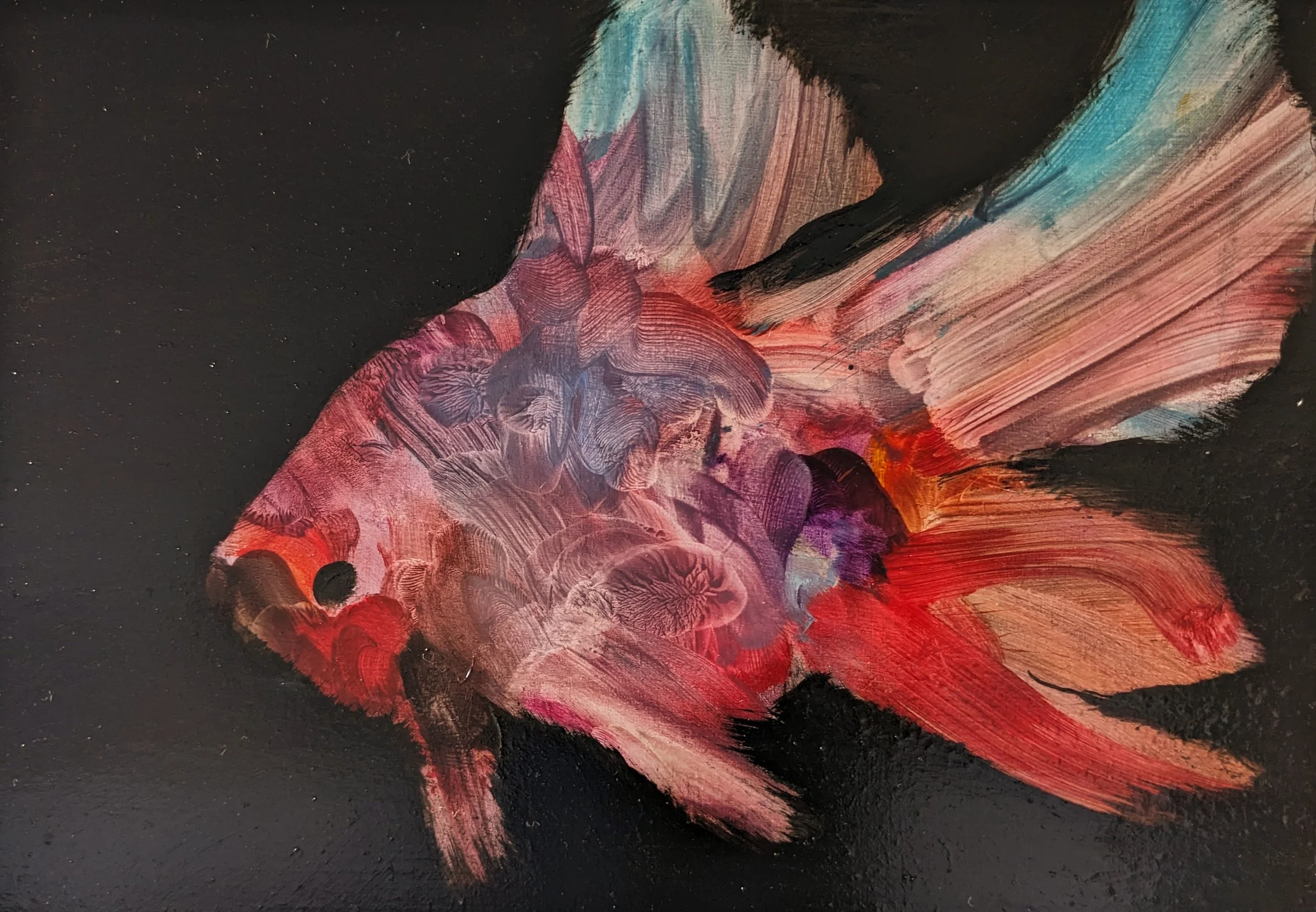 Red Fish. oil on board. 20cm x 15cm