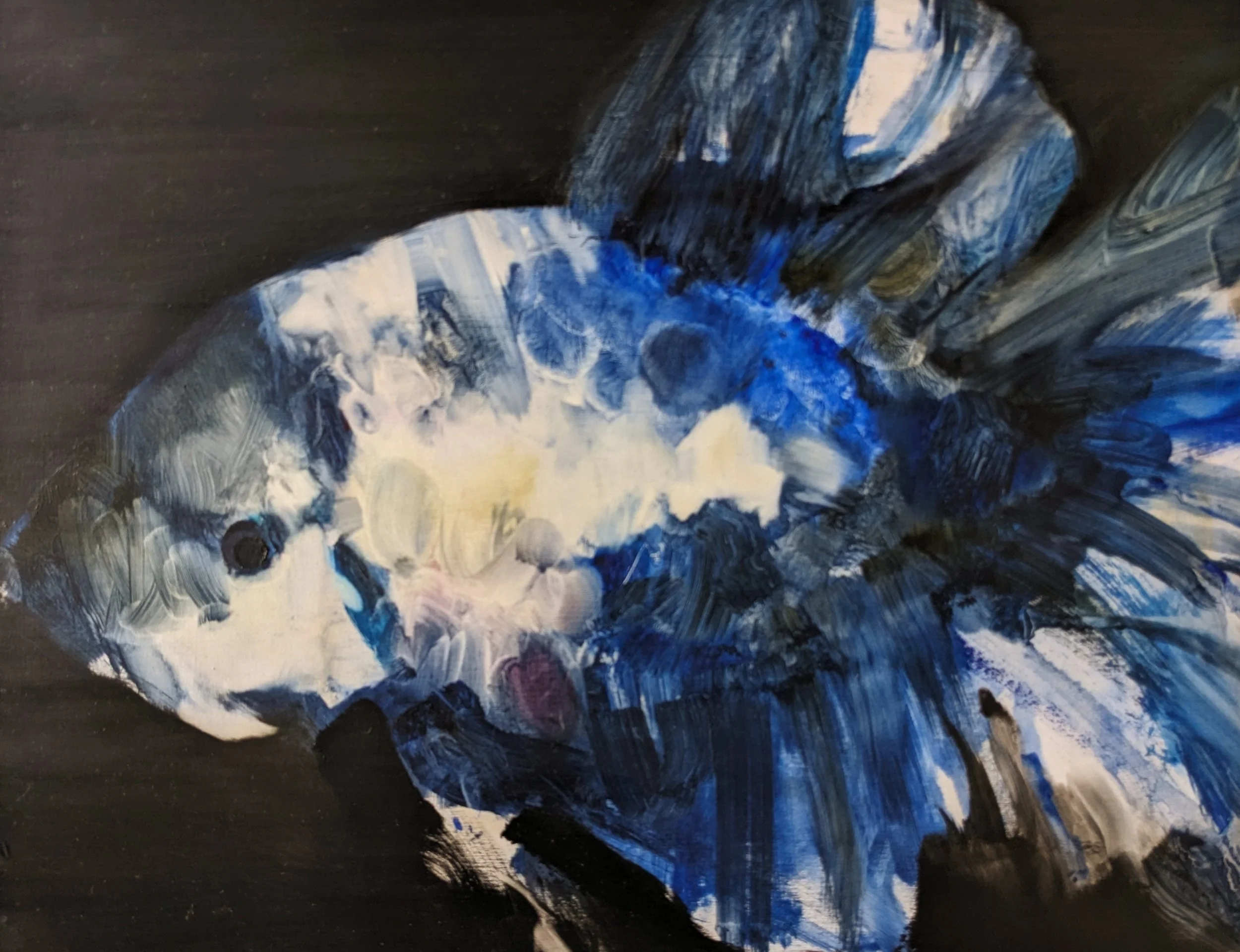 Fish 2. oil on Board. 50cm x 40cm.