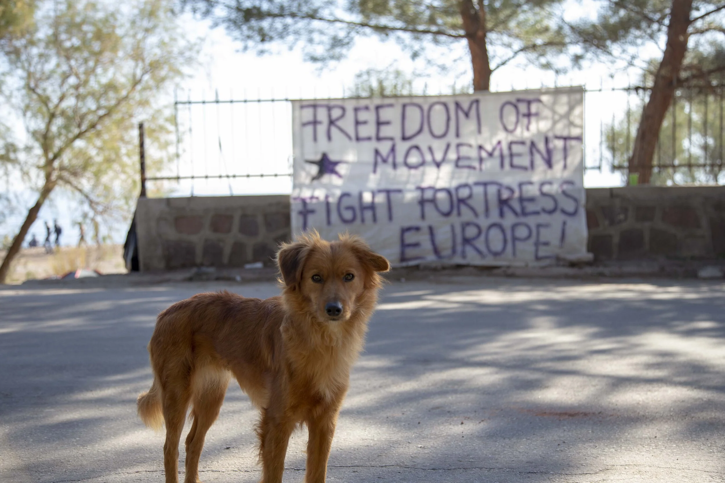 Canon-Canon EOS 6D-5472x3648-007763.jpg