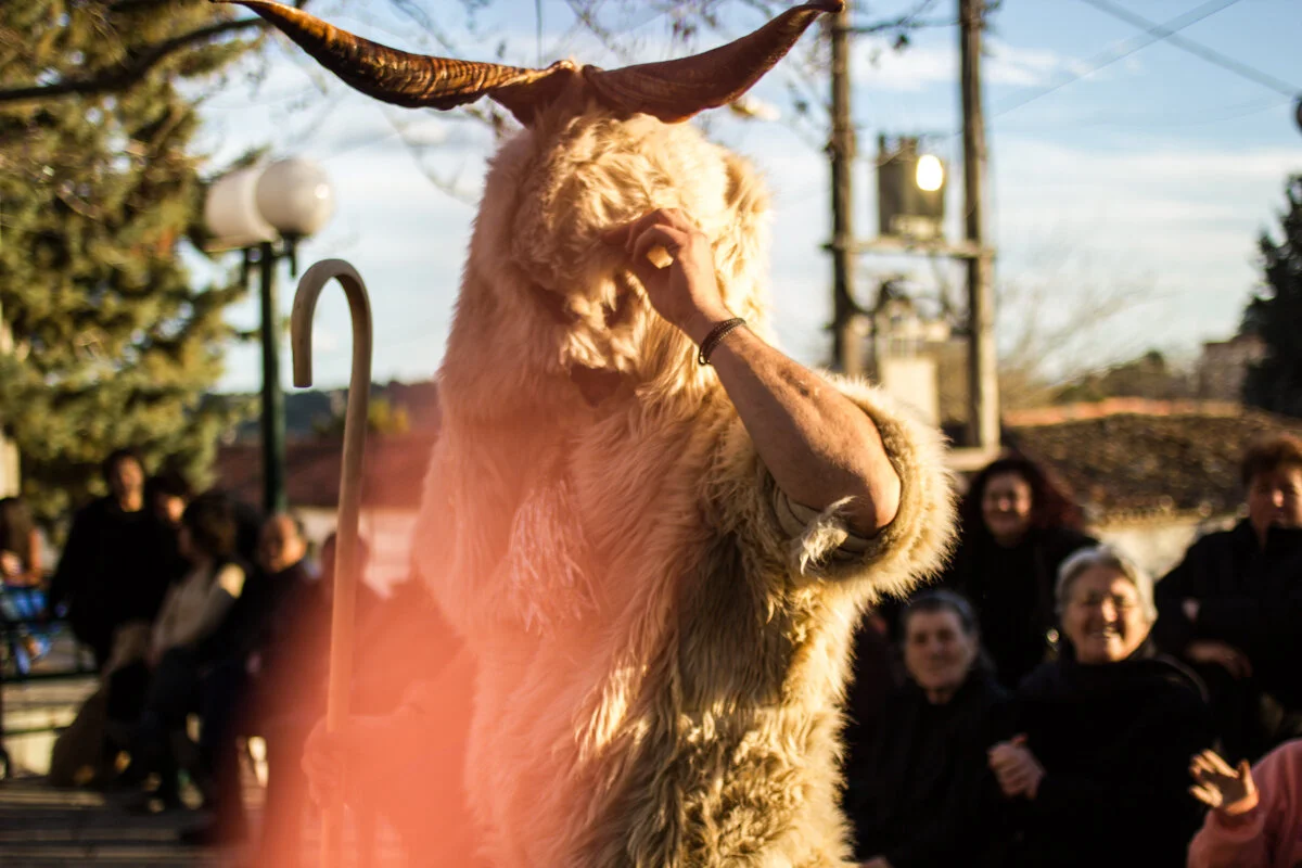 THE CARNIVAL STORIES