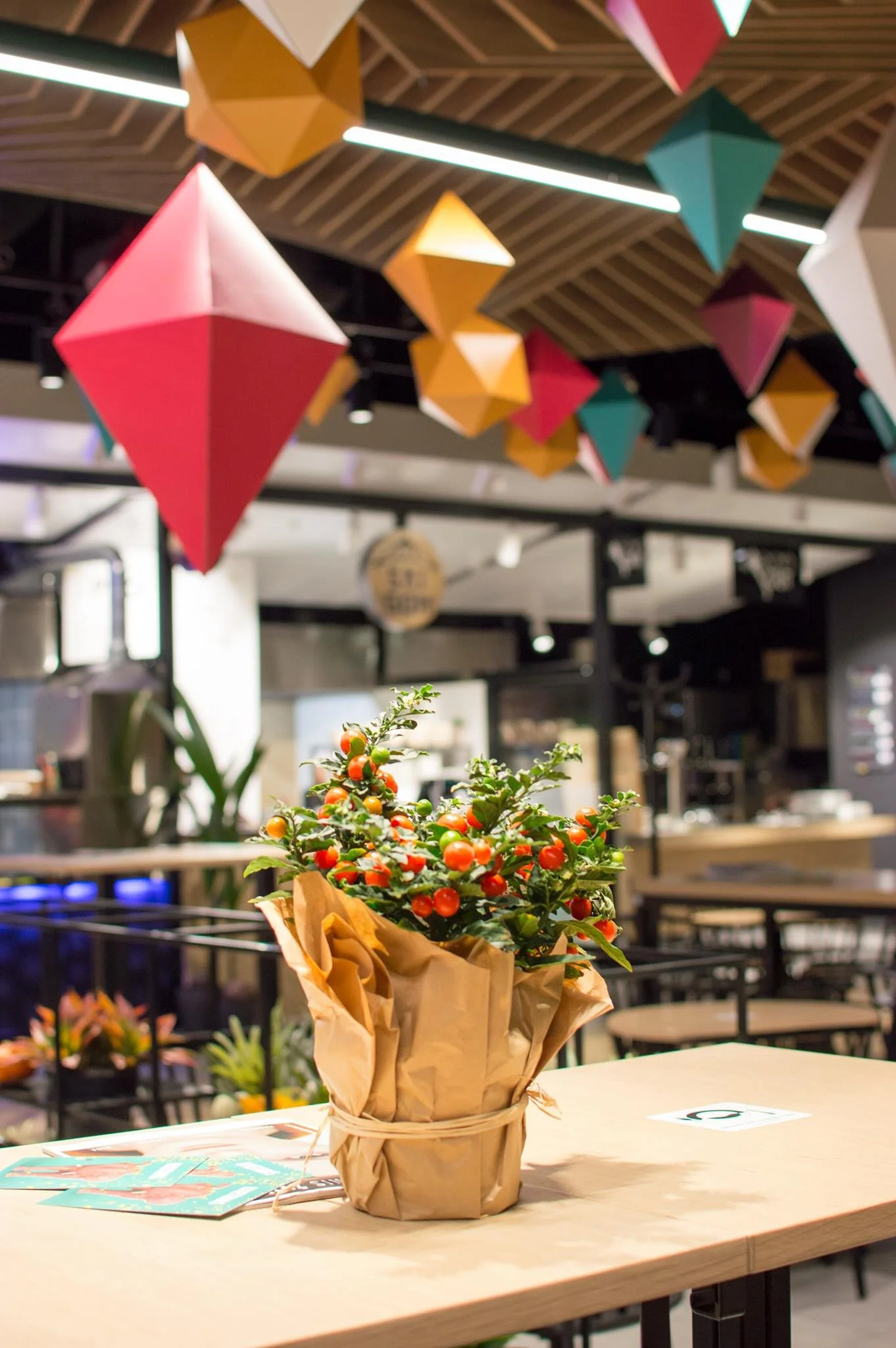 45657521_10156841780526532_2662903182631370752_o.jpg