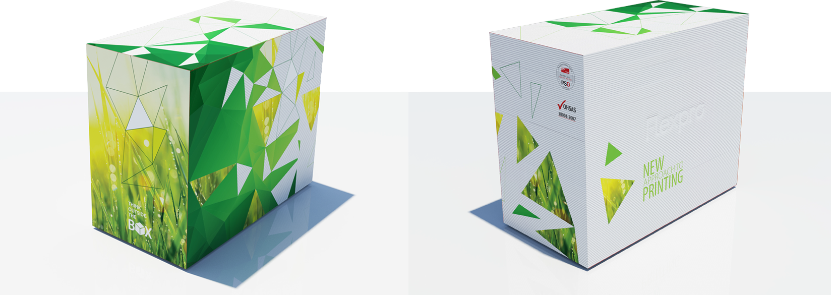 FLEXPRO print examples packages