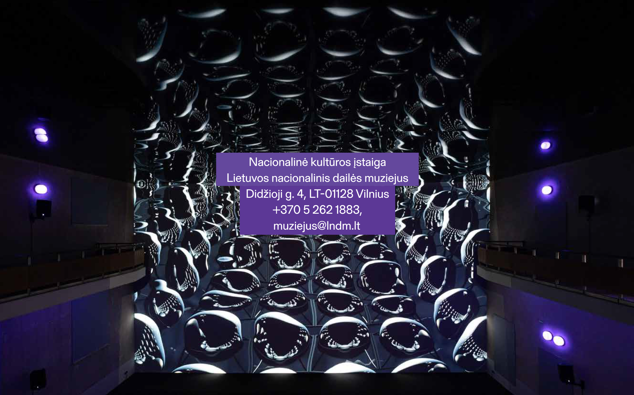 LNDM STRATEGIJA 2024–2026