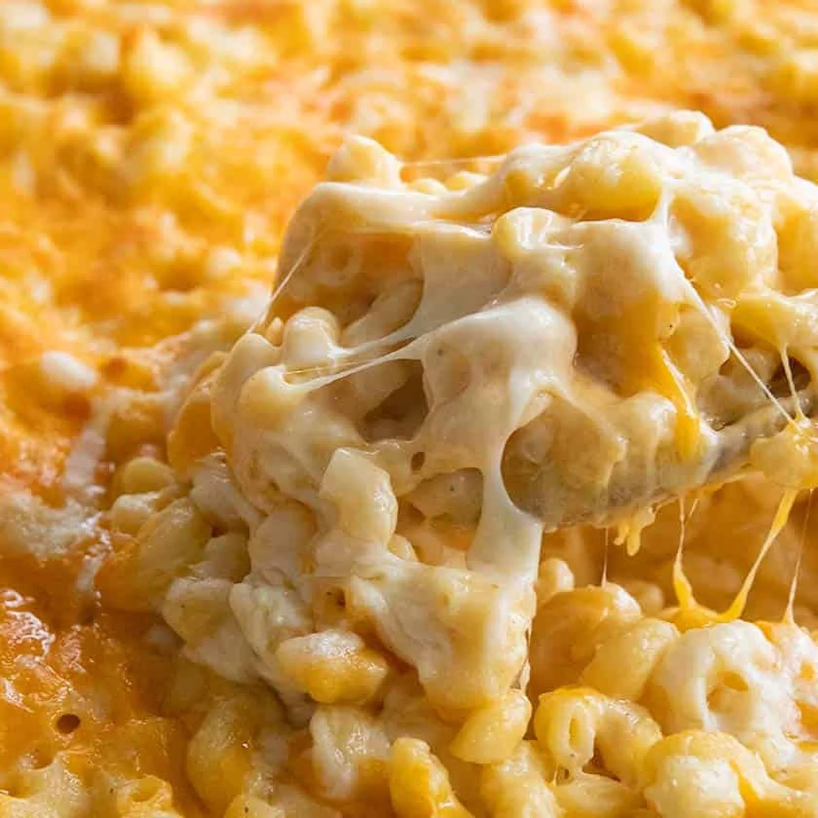 mac-and-cheese-featured (1).v1.jpg (Copy)