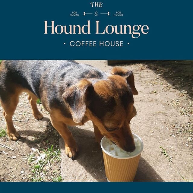 Would you or your pup like to be featured in our gallery feed on our website? Send us a picture of you enjoying some Hound Lounge treats and we might just add them! https://buff.ly/2XHFqcM⠀
.⠀
.⠀
.⠀
.⠀
.⠀
.⠀
.⠀
.⠀
.⠀
.⠀
.⠀
.⠀
#dog #dogsofinstagram #d