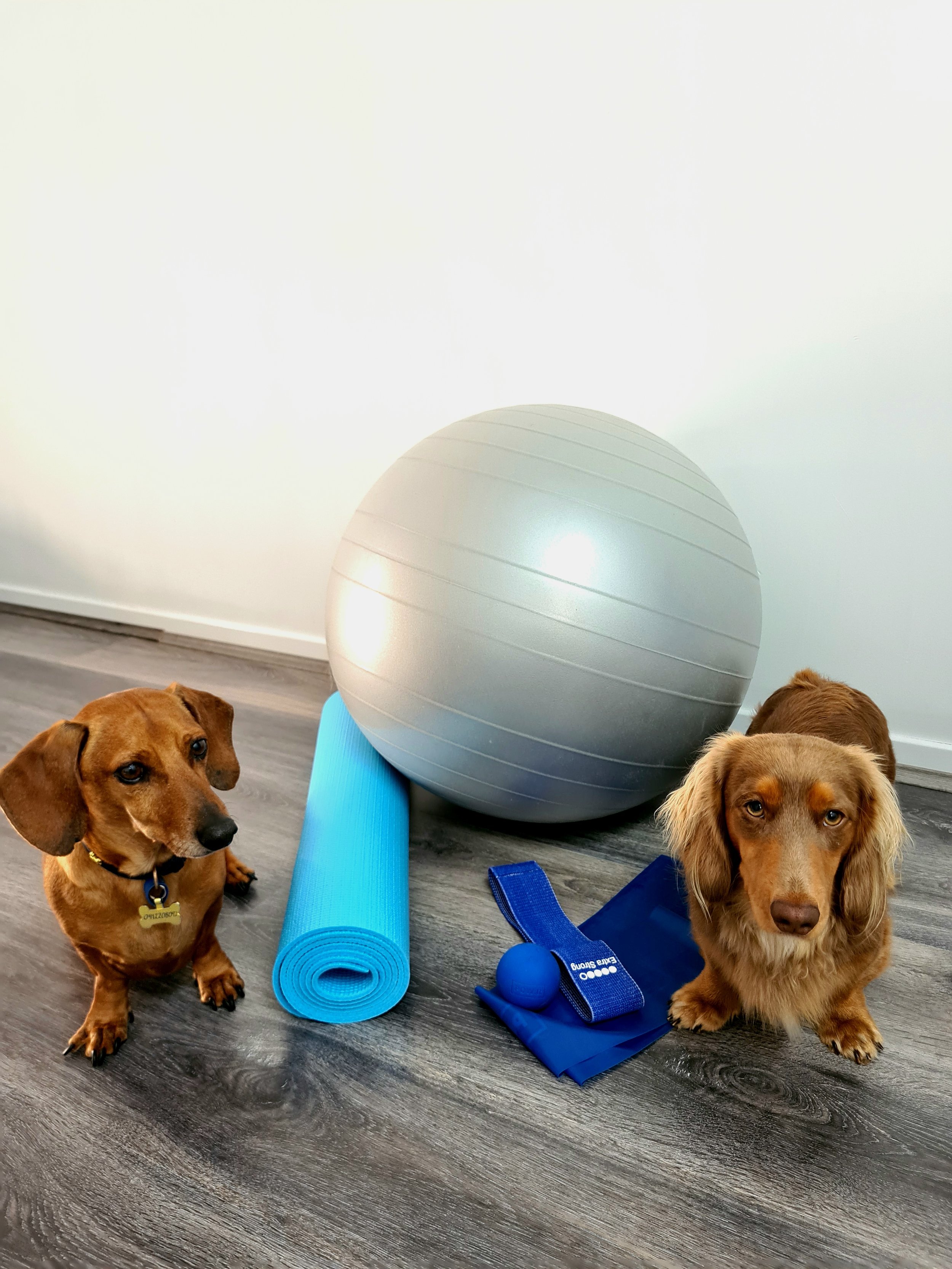 Home Exercise Pack.jpg