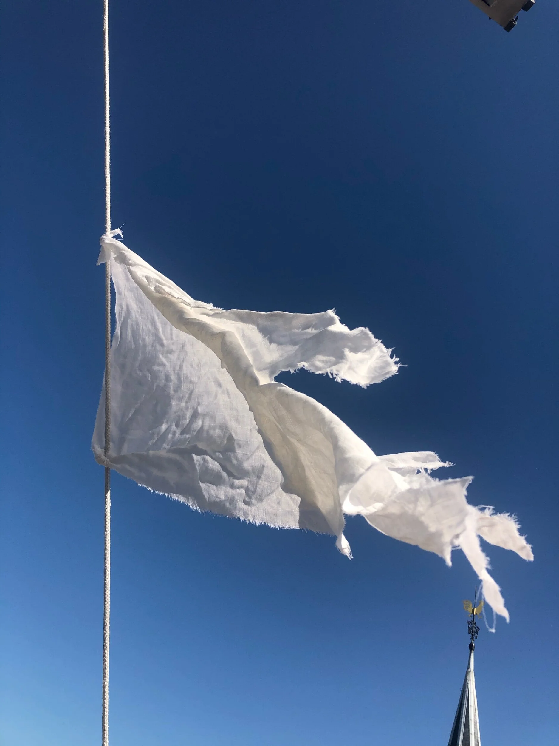 Asche auf mein Haupt