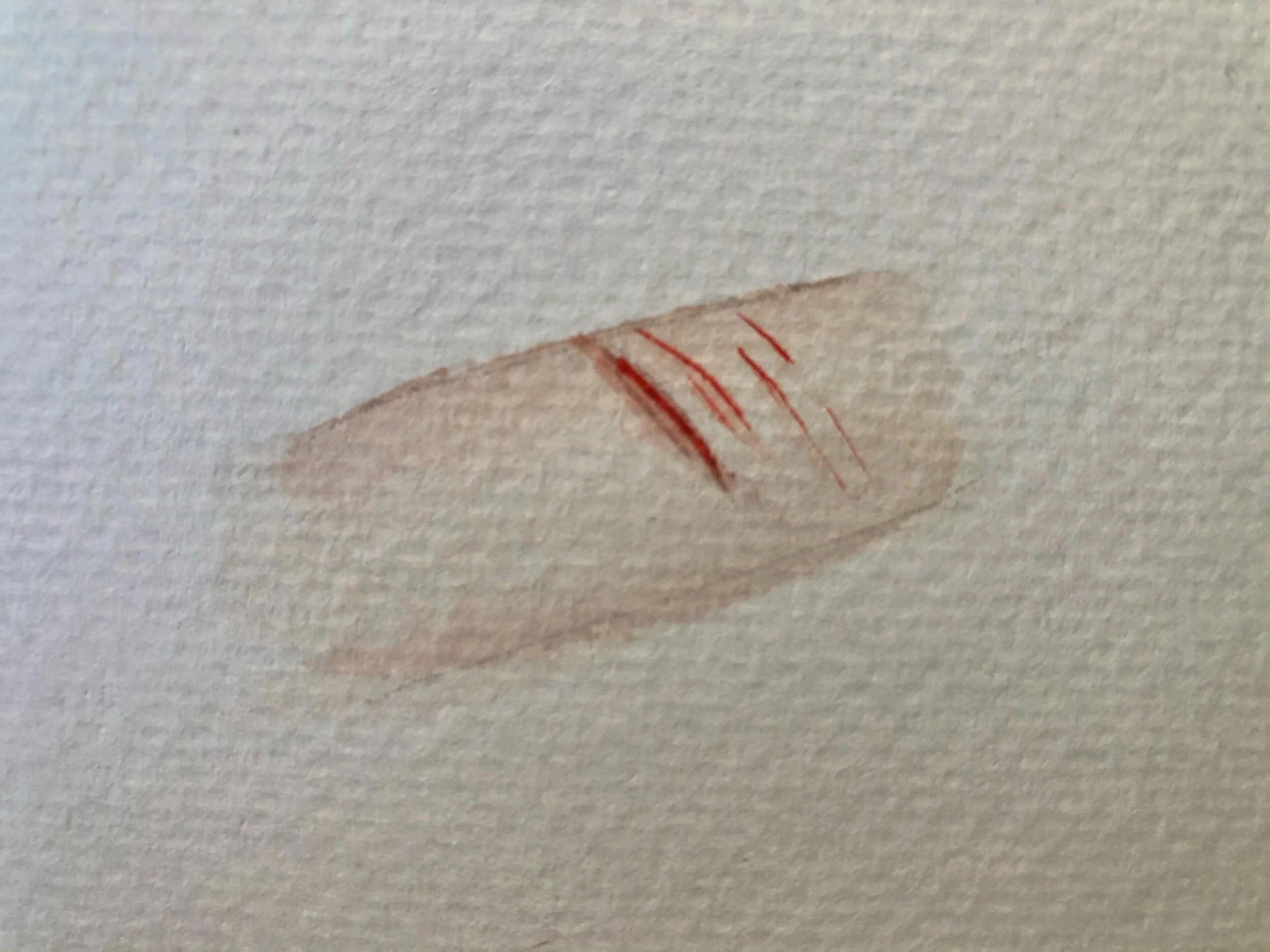 Planet der Nacktkatzen