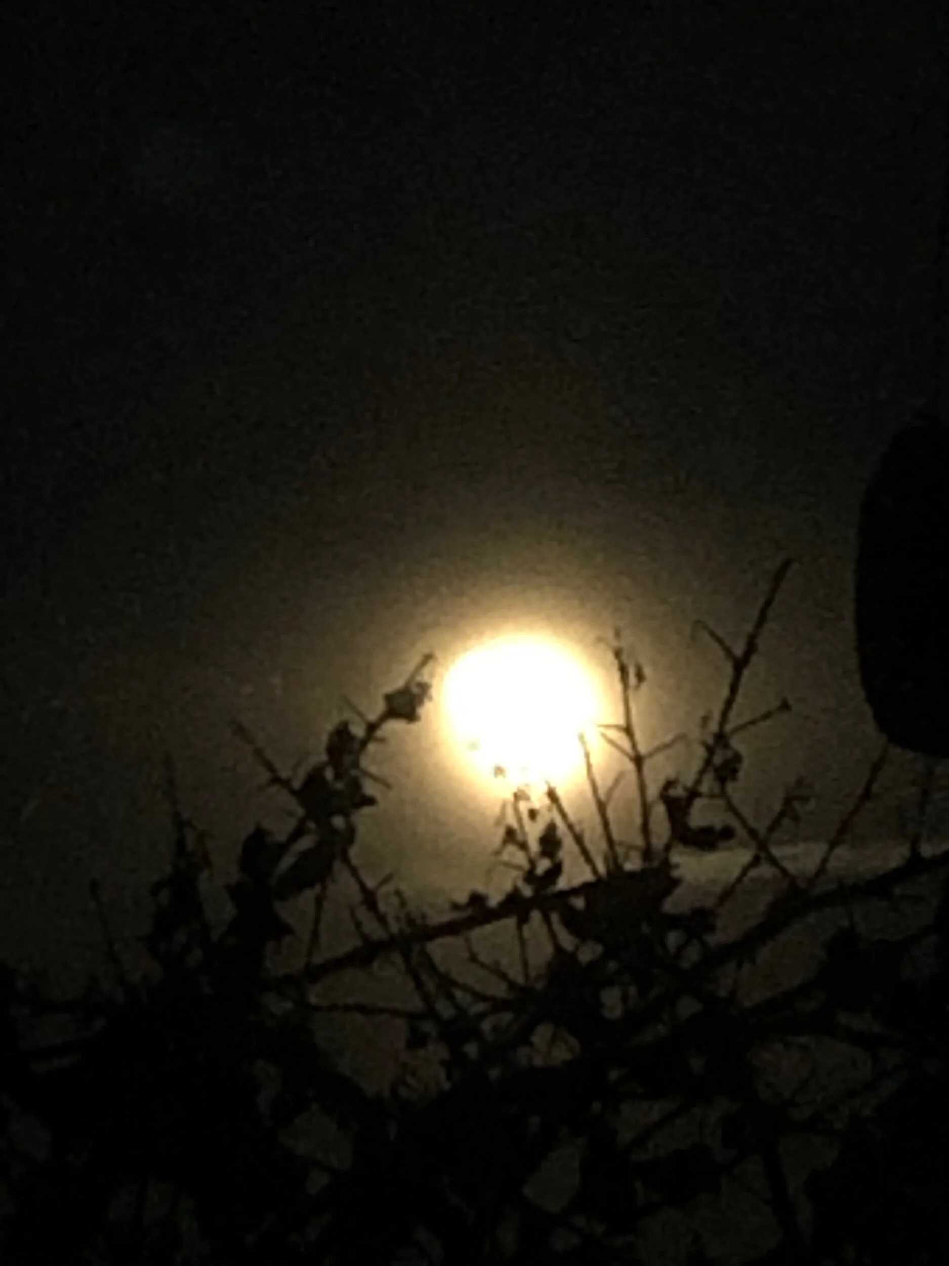 Vollmond Gedanken