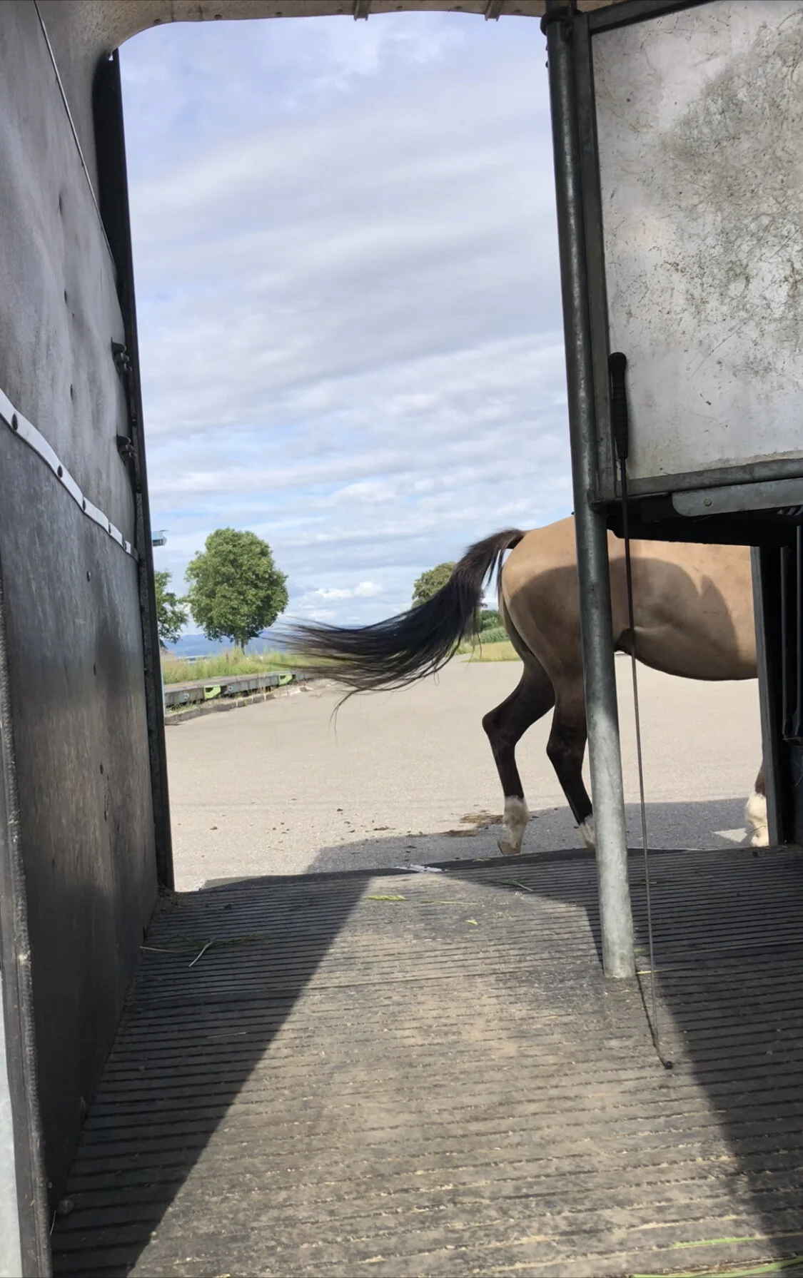 Von Pferde- und Frauenversteher